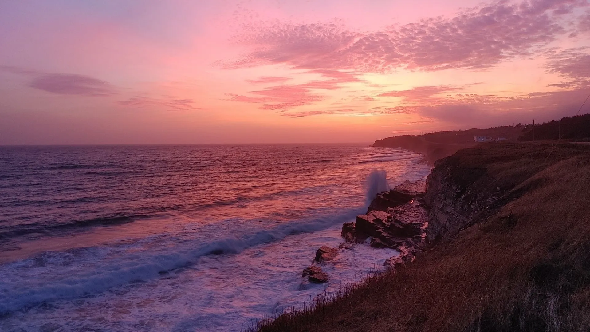 Vexxy OnlyFans header