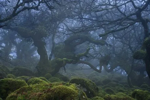 Hawk OnlyFans header