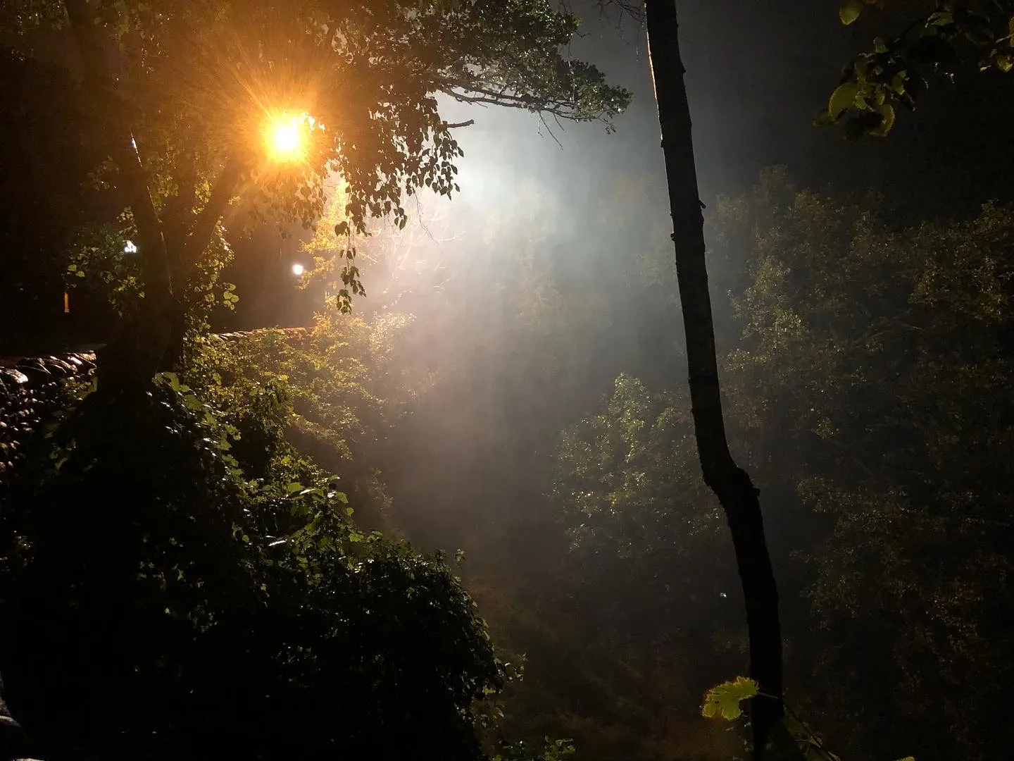 Van Hellscream OnlyFans header