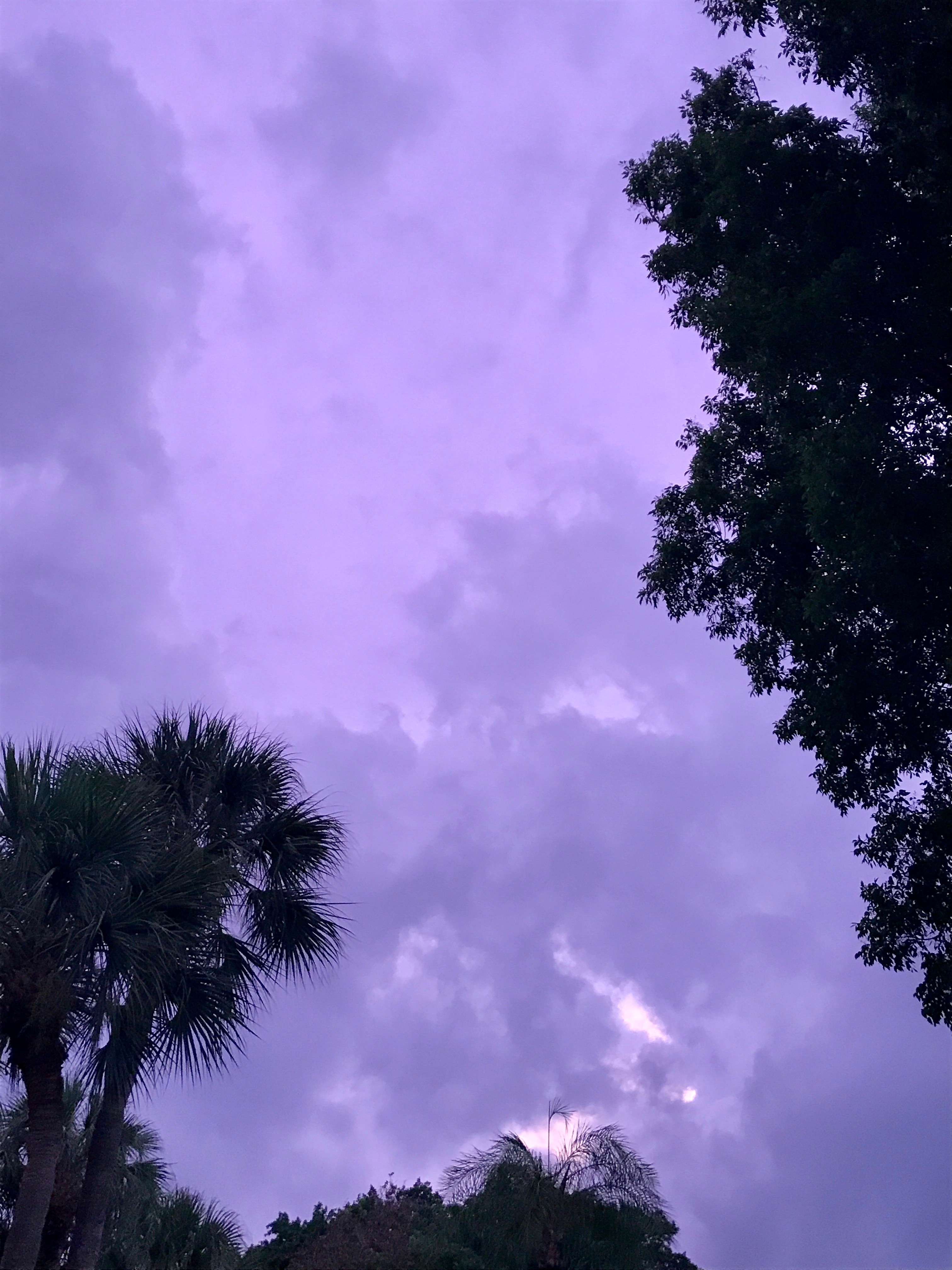 vialem OnlyFans header