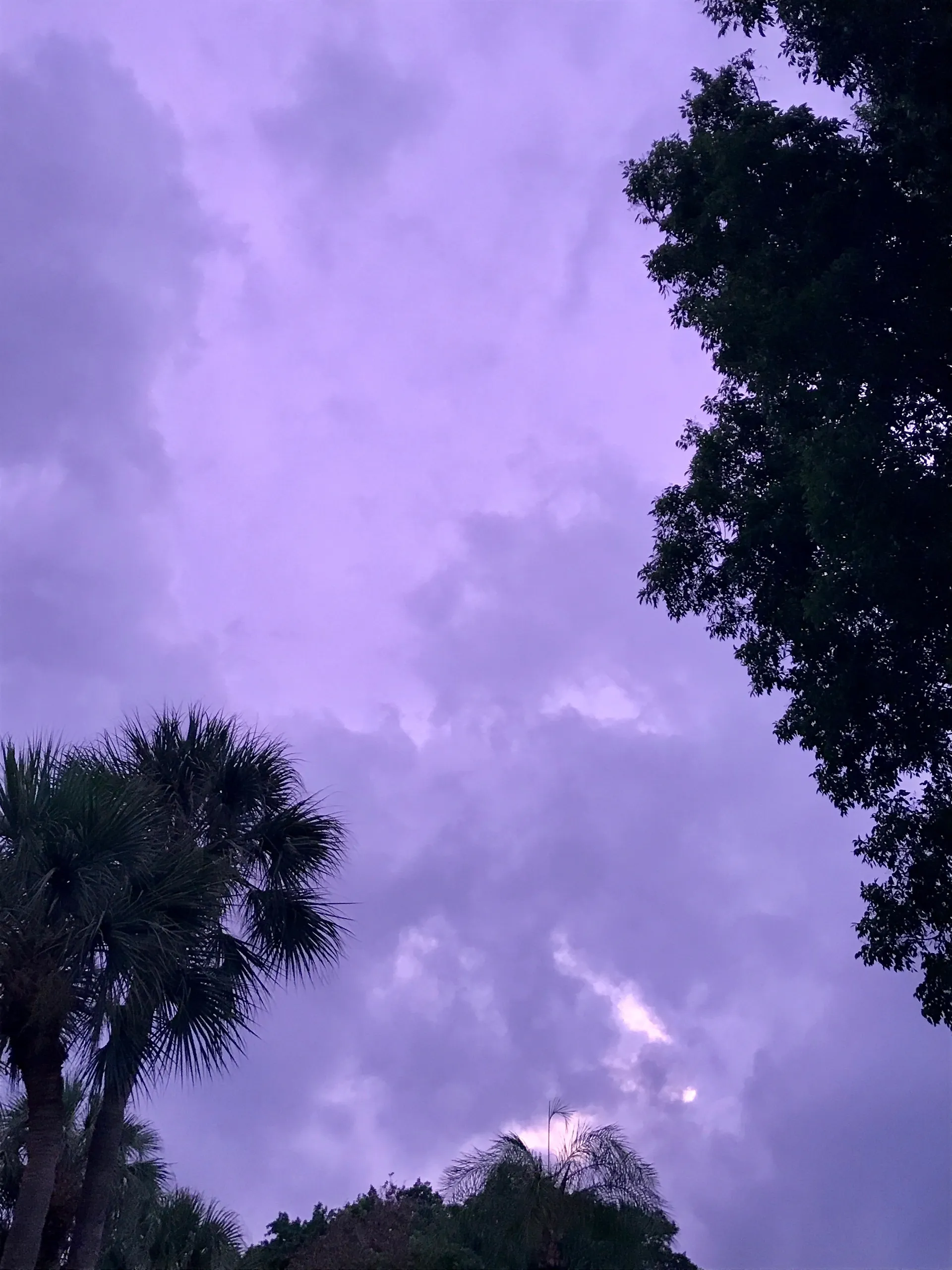 vialem OnlyFans header