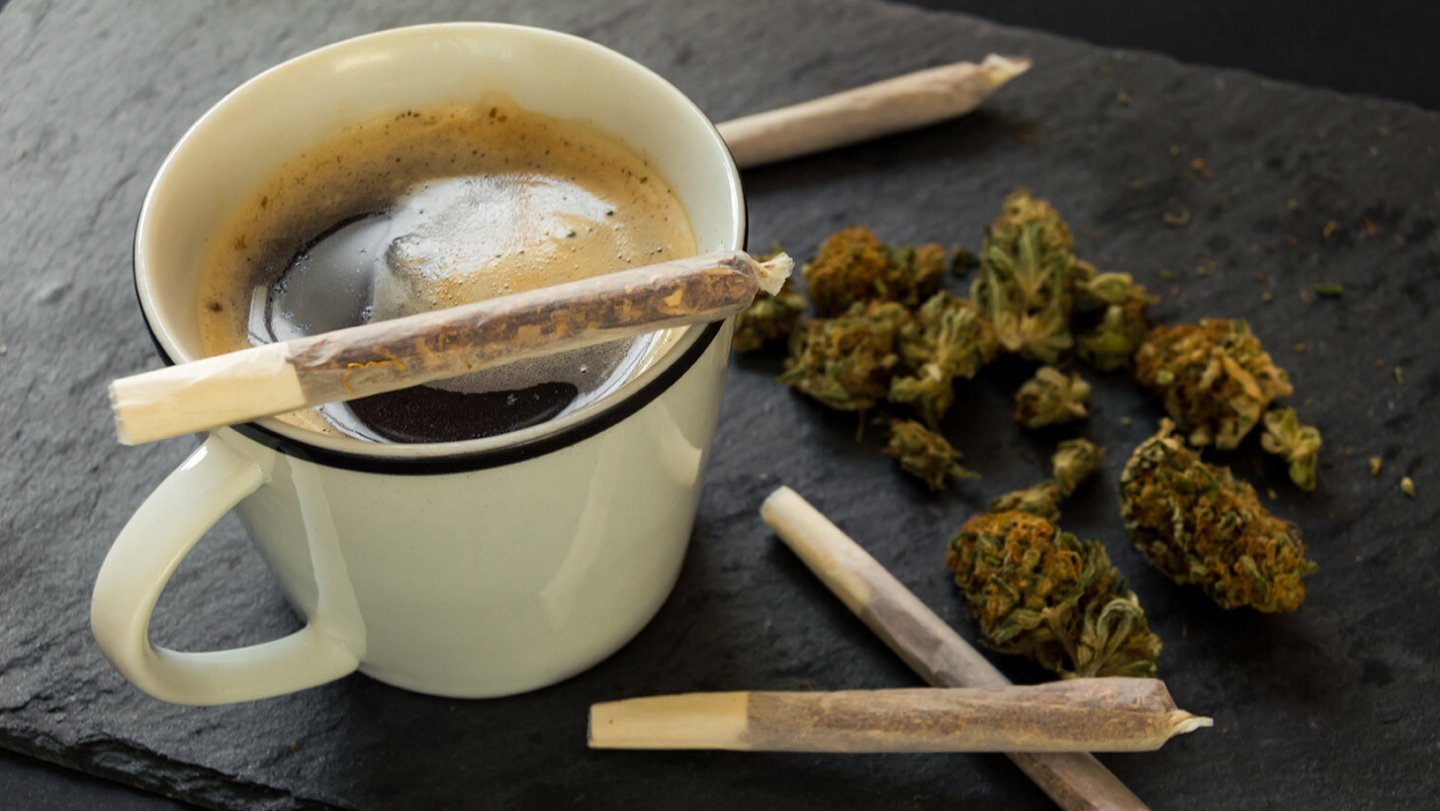 Coffee &amp; Cannabis OnlyFans header