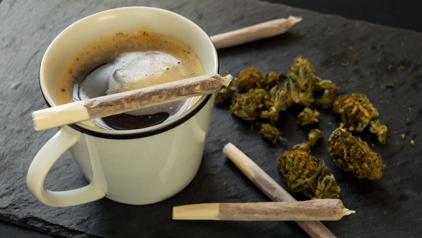 Coffee &amp; Cannabis OnlyFans header