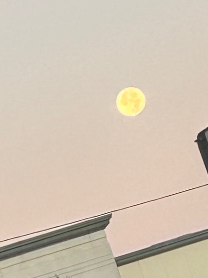 Vibeworld OnlyFans header