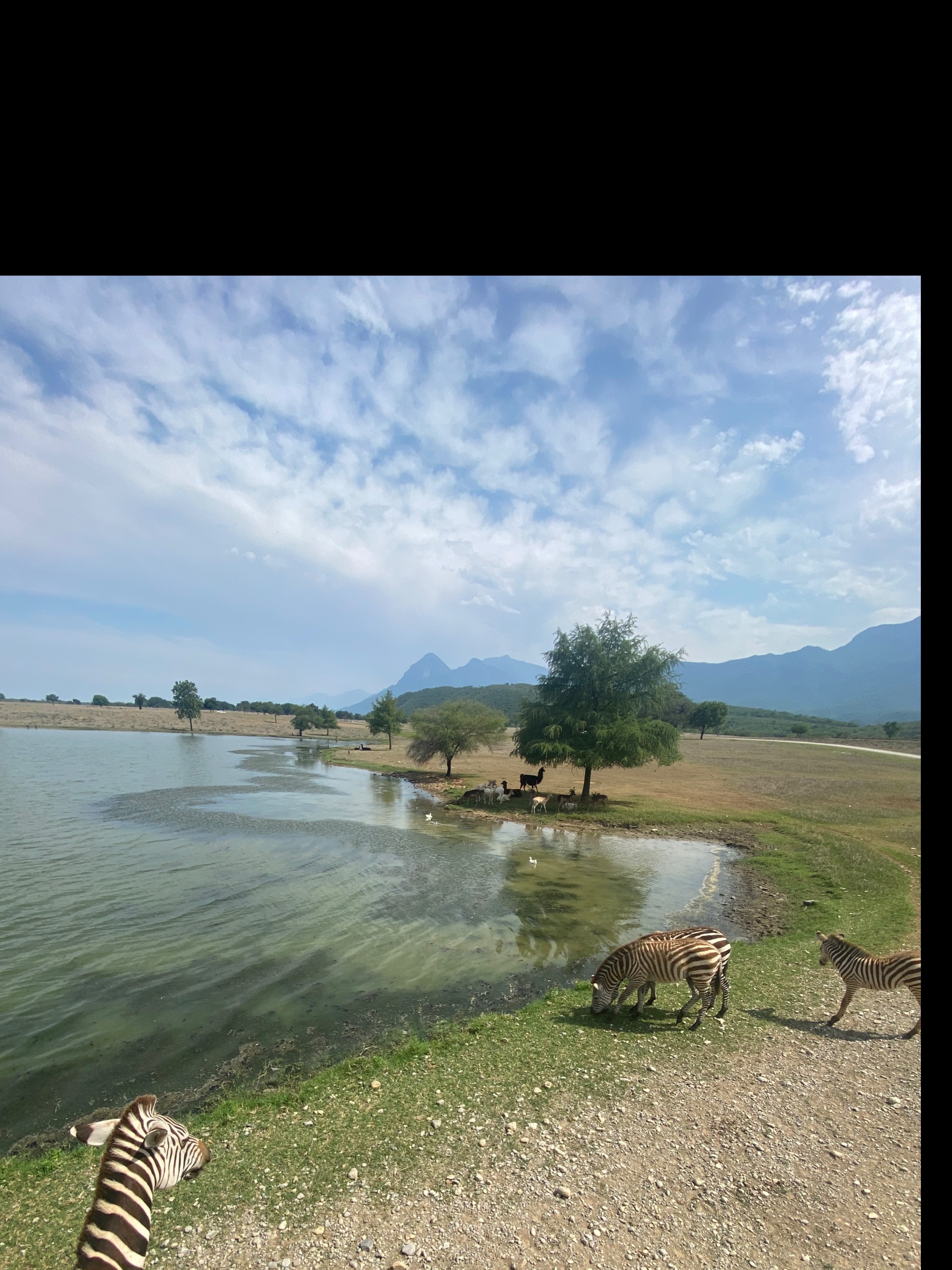 Victoria alfaro OnlyFans header