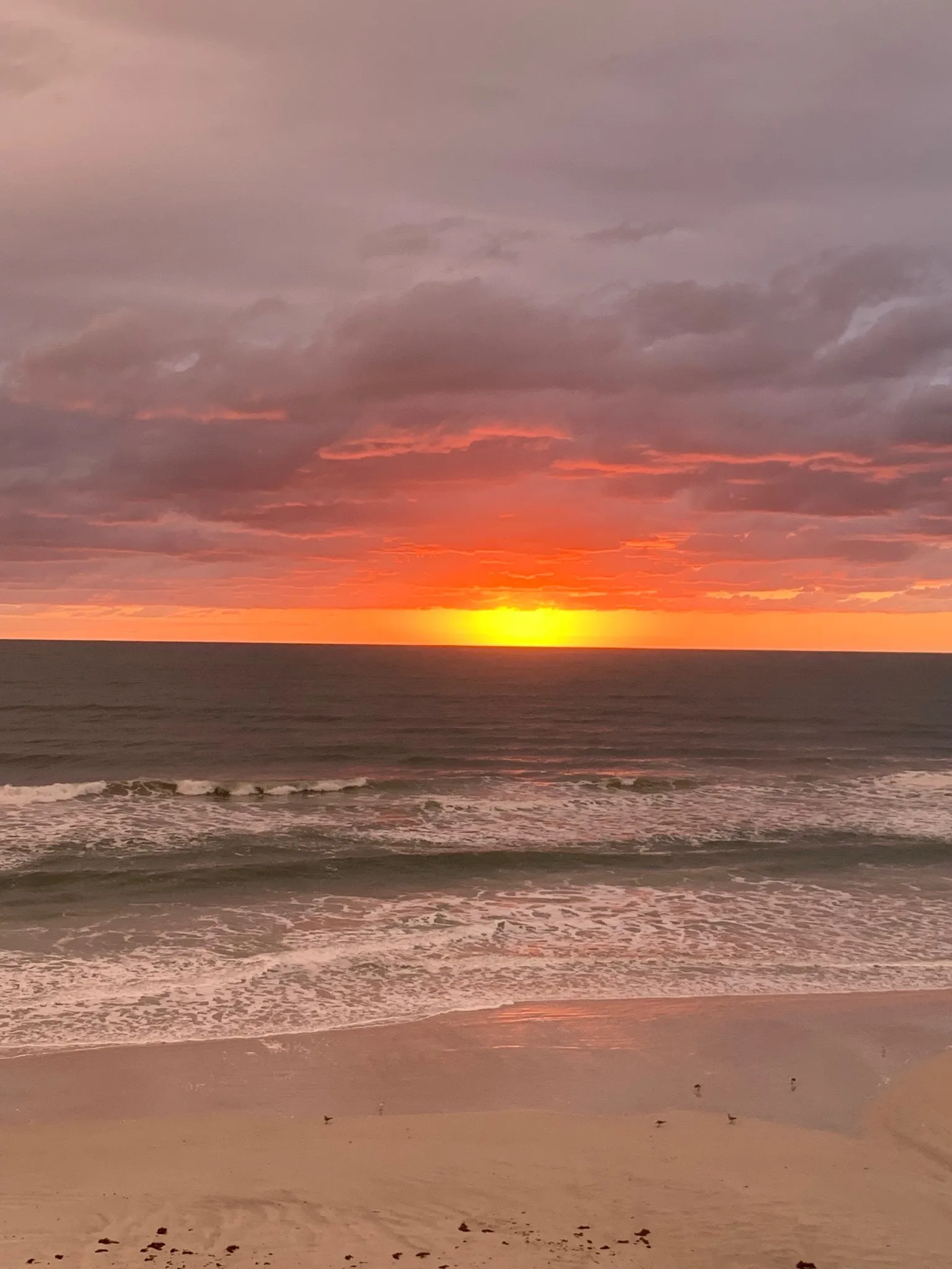 Victoria OnlyFans header