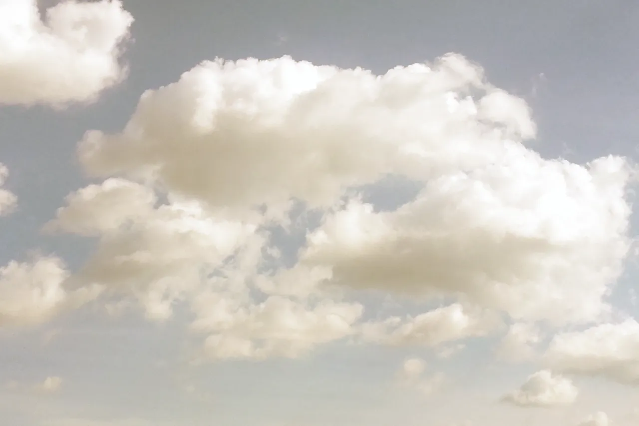 Victória OnlyFans header