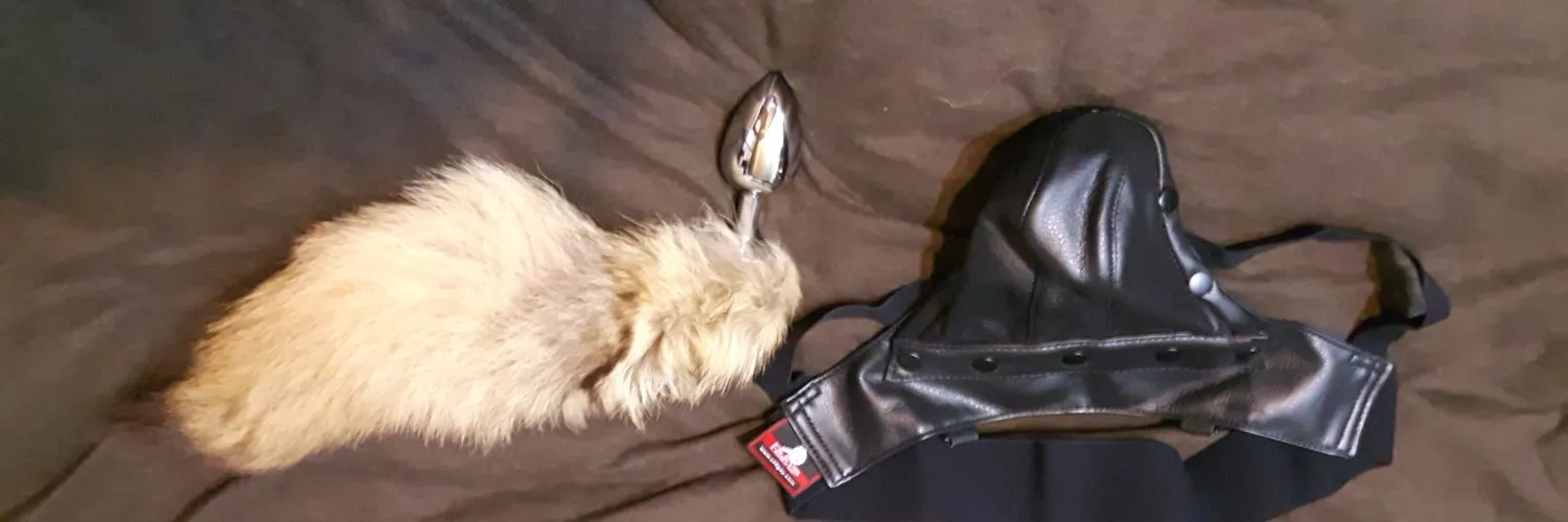 色騷熊 OnlyFans header