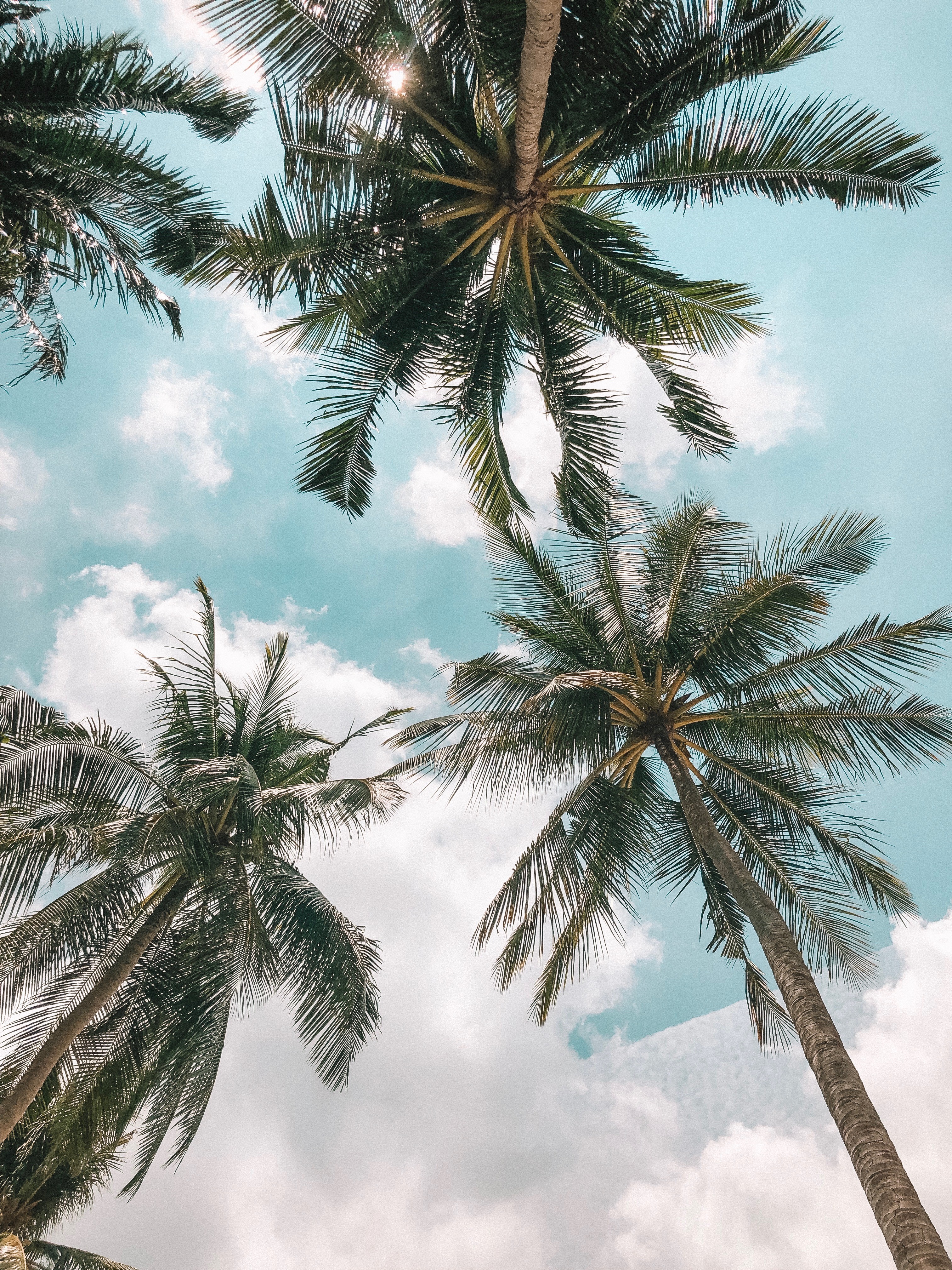 Victoria CS OnlyFans header