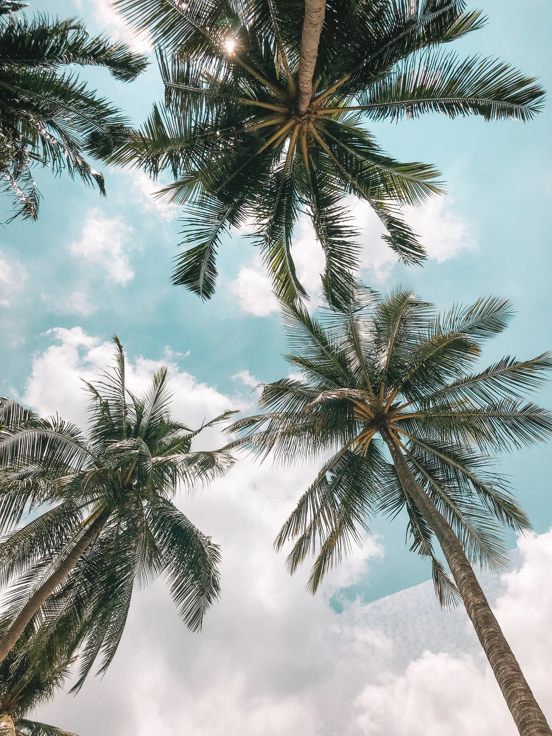 Victoria CS OnlyFans header