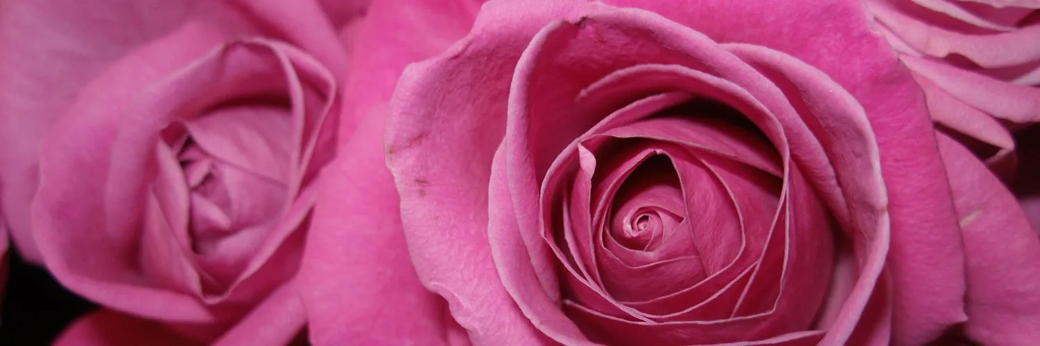 Vicki Rose OnlyFans header