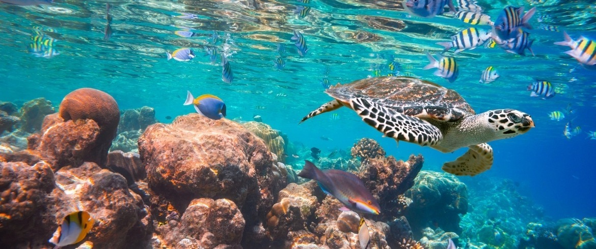 VictoriaSpark OnlyFans header