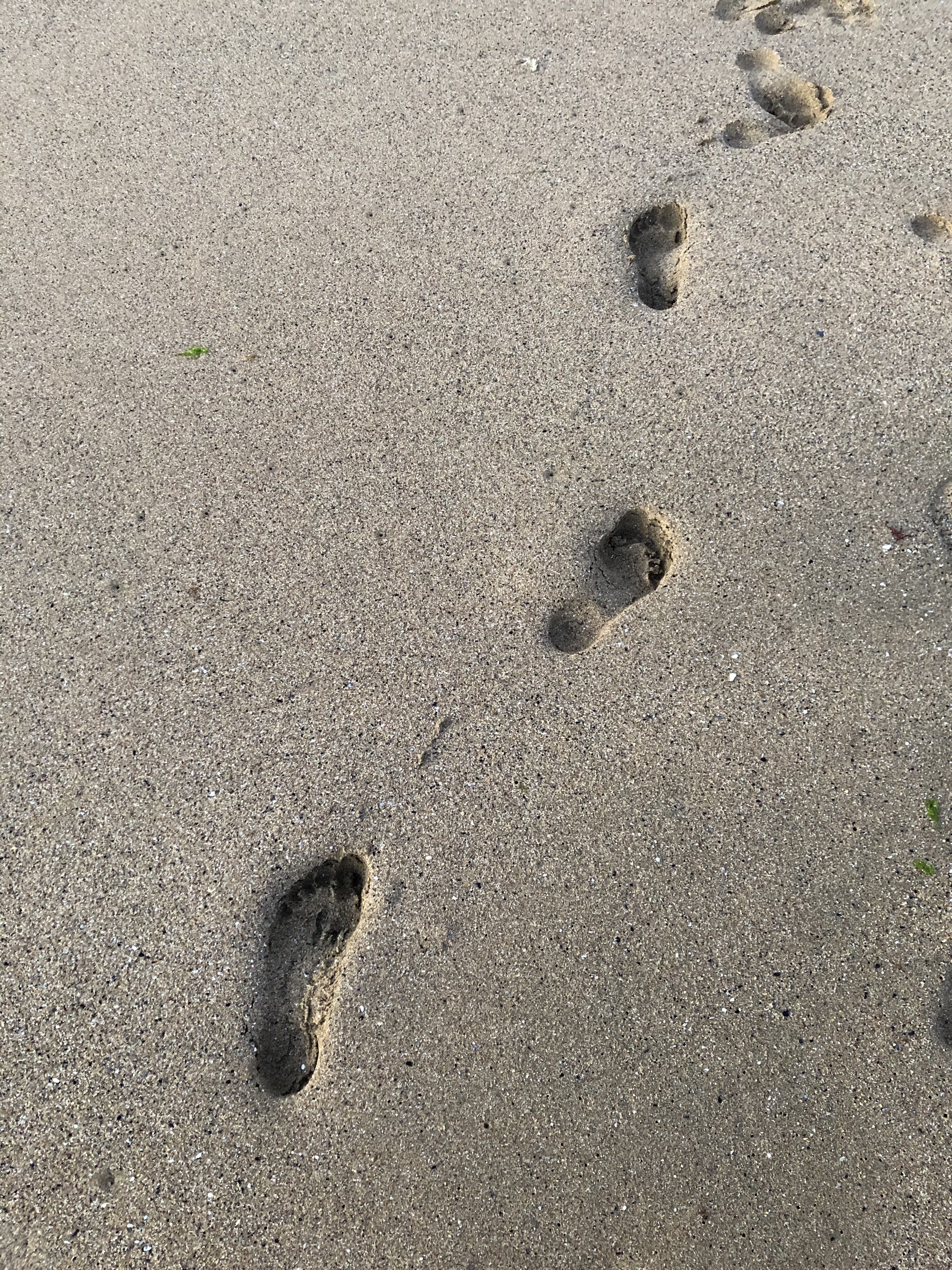 Victoria's feet OnlyFans header