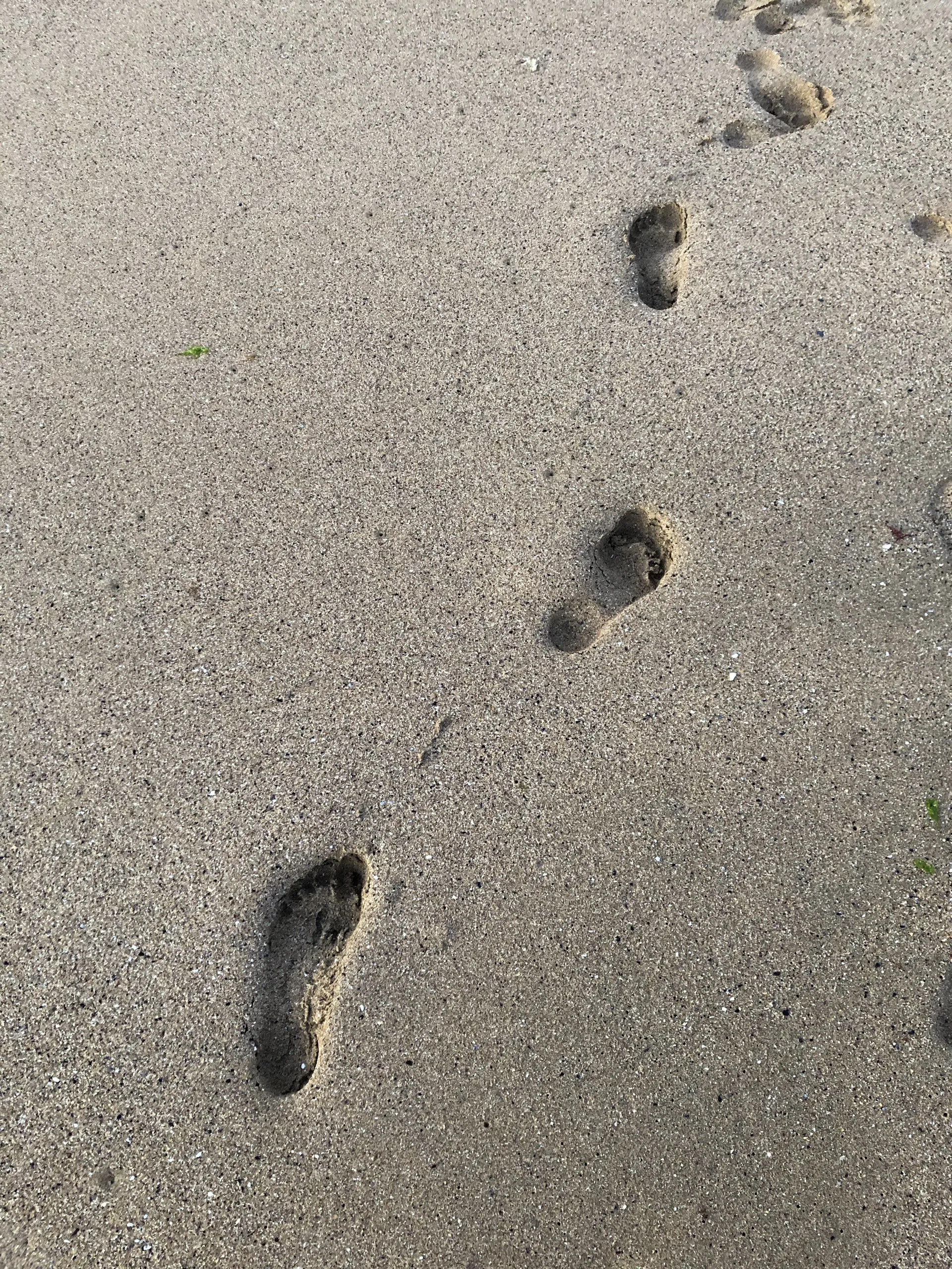 Victoria's feet OnlyFans header