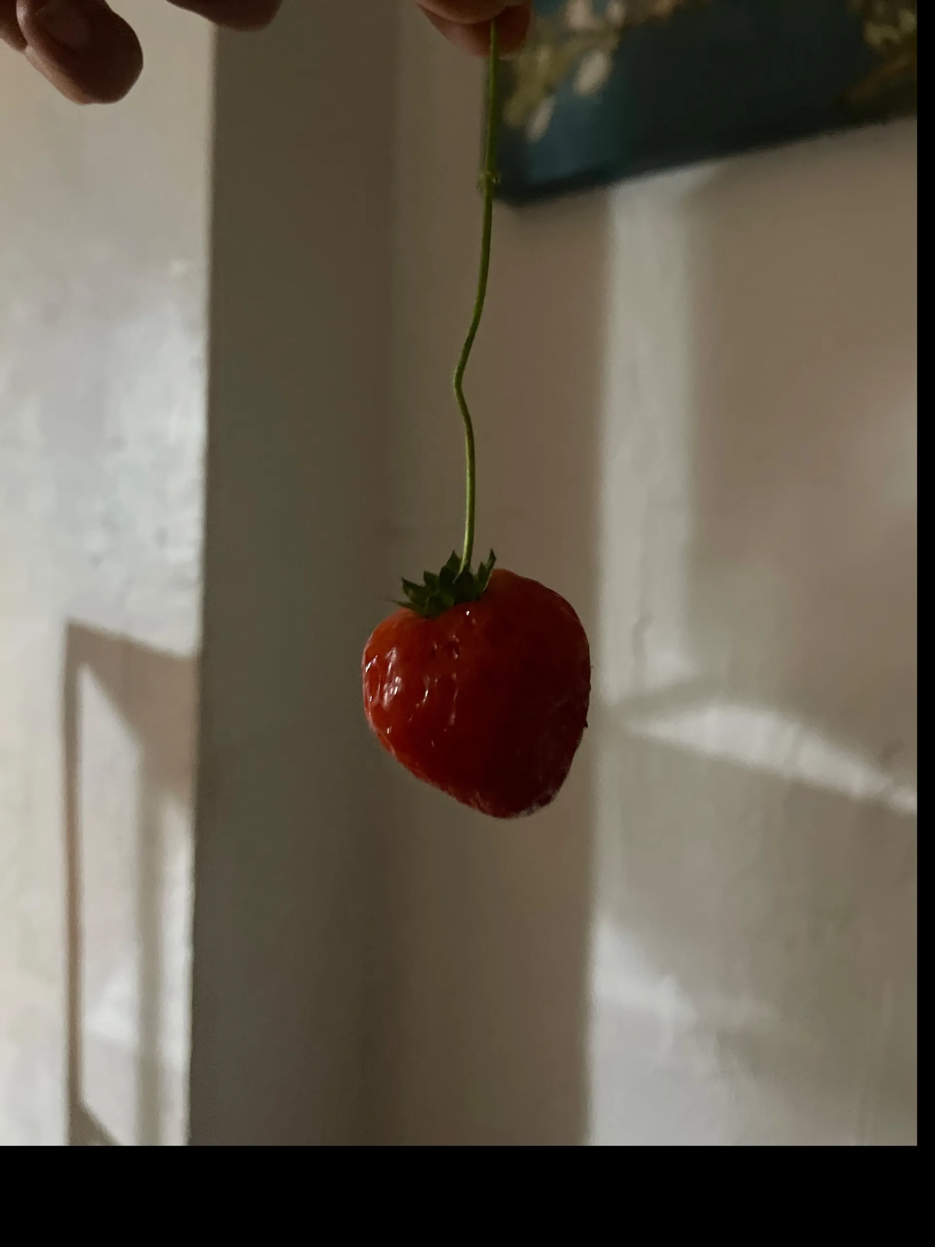 Victoria OnlyFans header