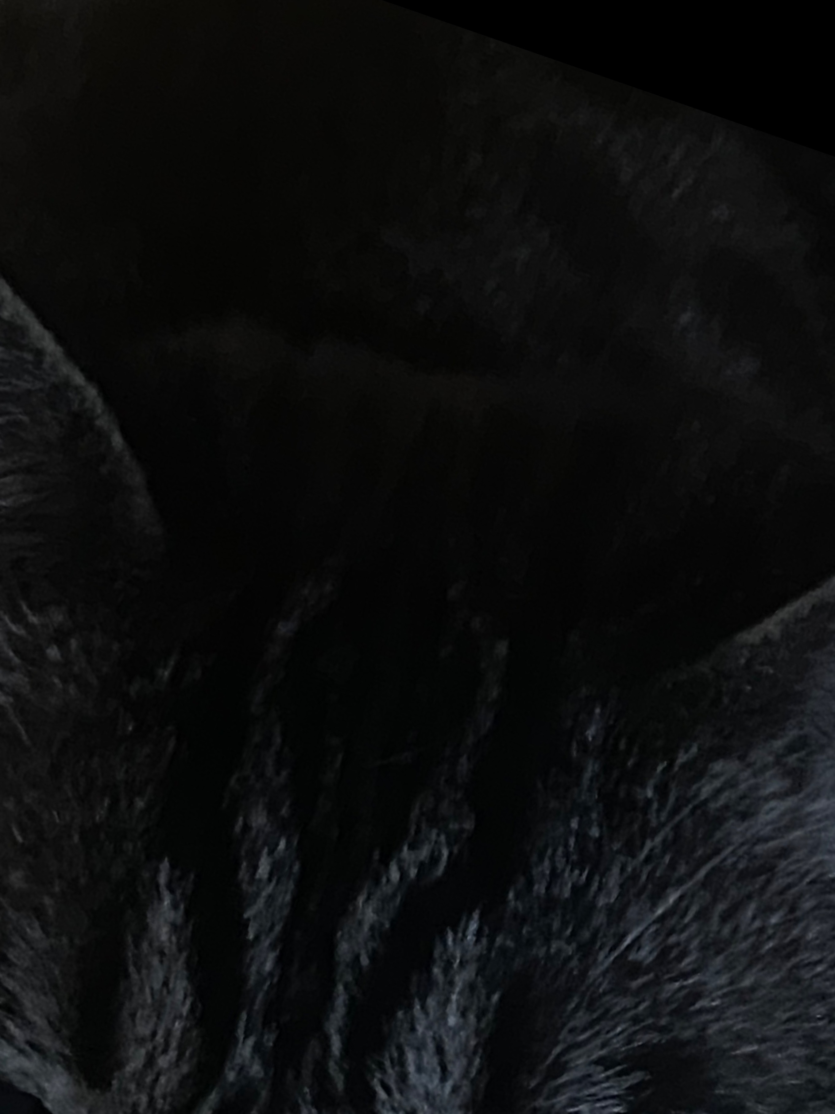 Victoriaxoxo OnlyFans