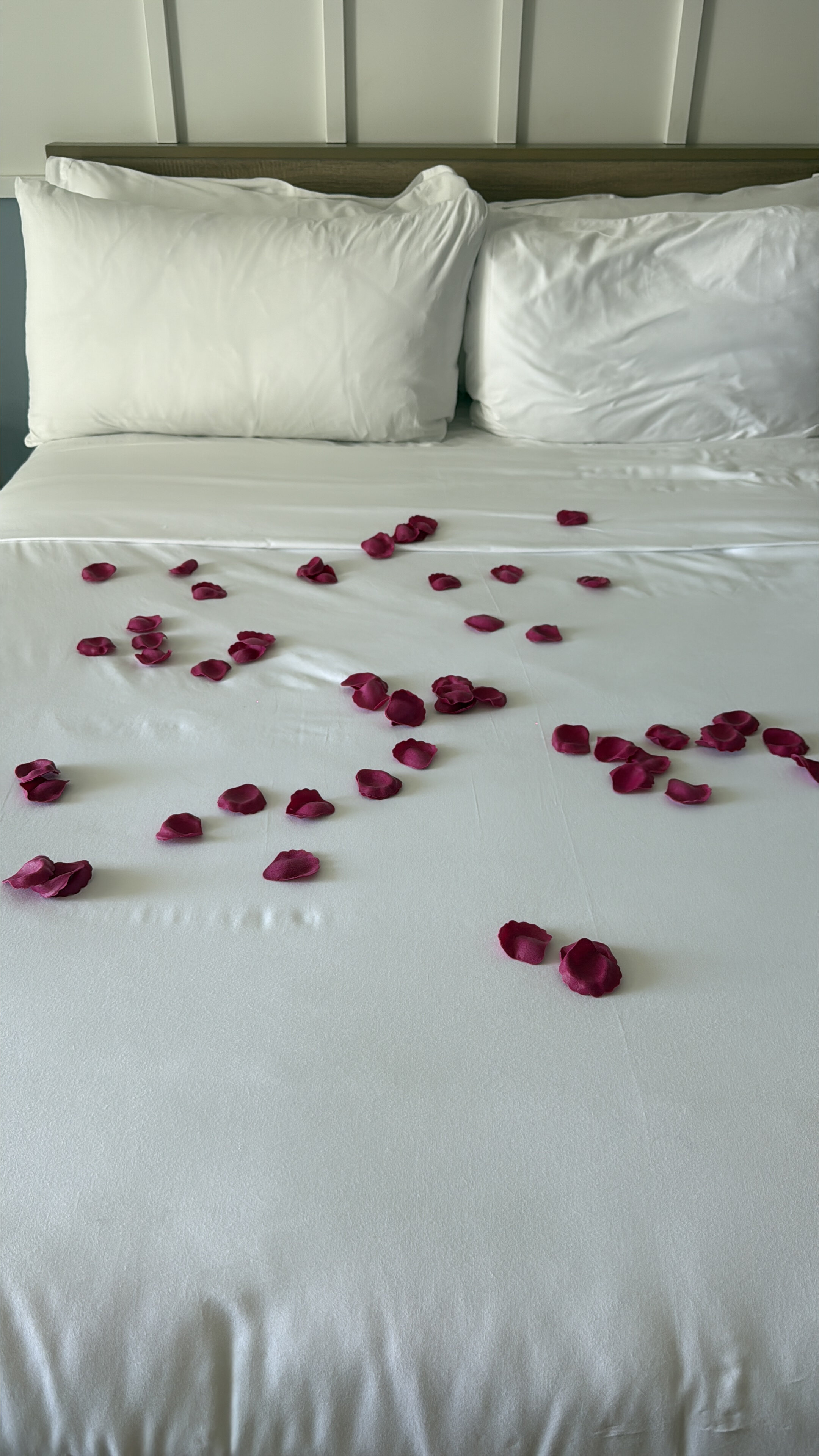 VictoriaLiuTV OnlyFans header