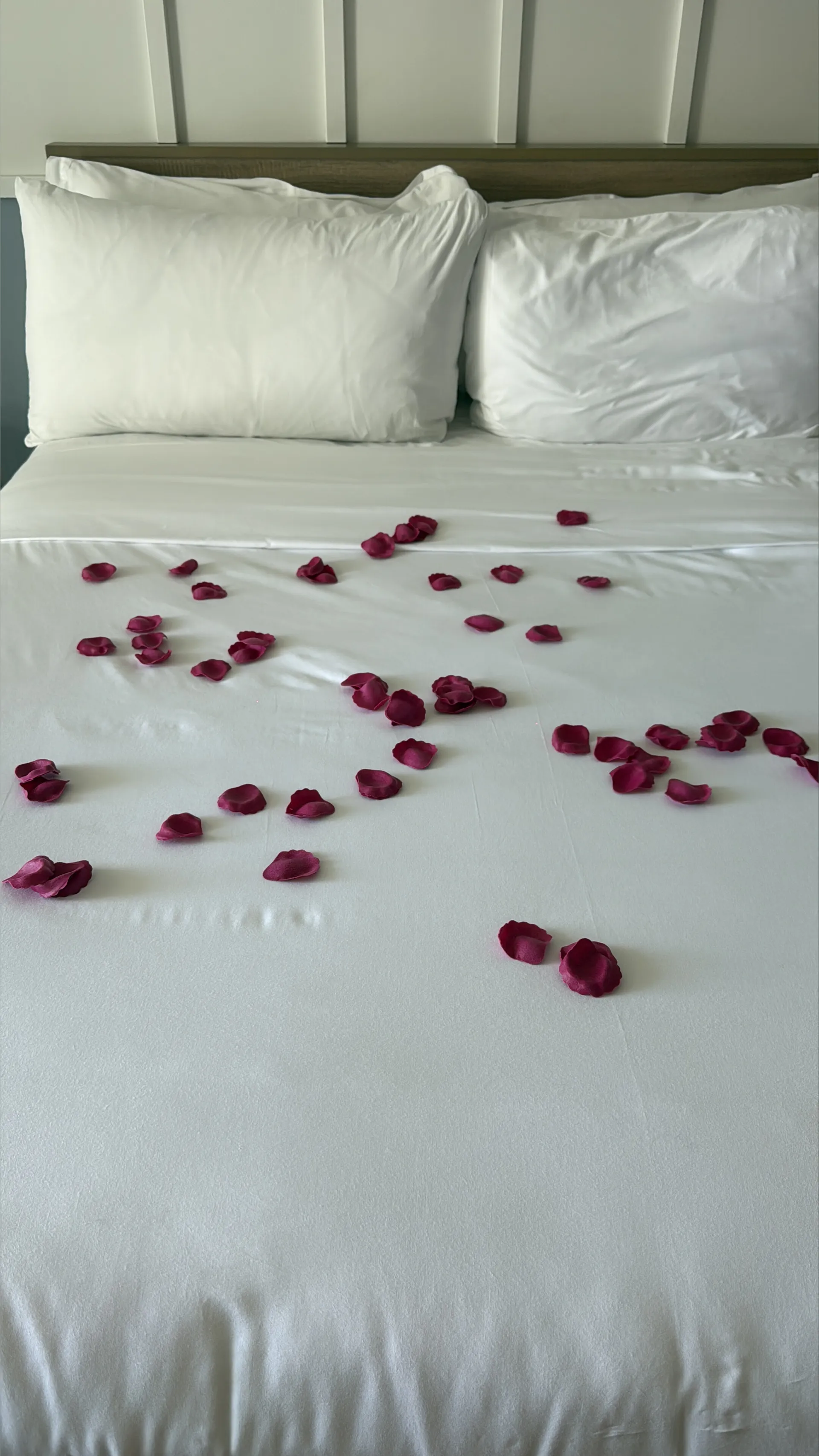 VictoriaLiuTV OnlyFans header