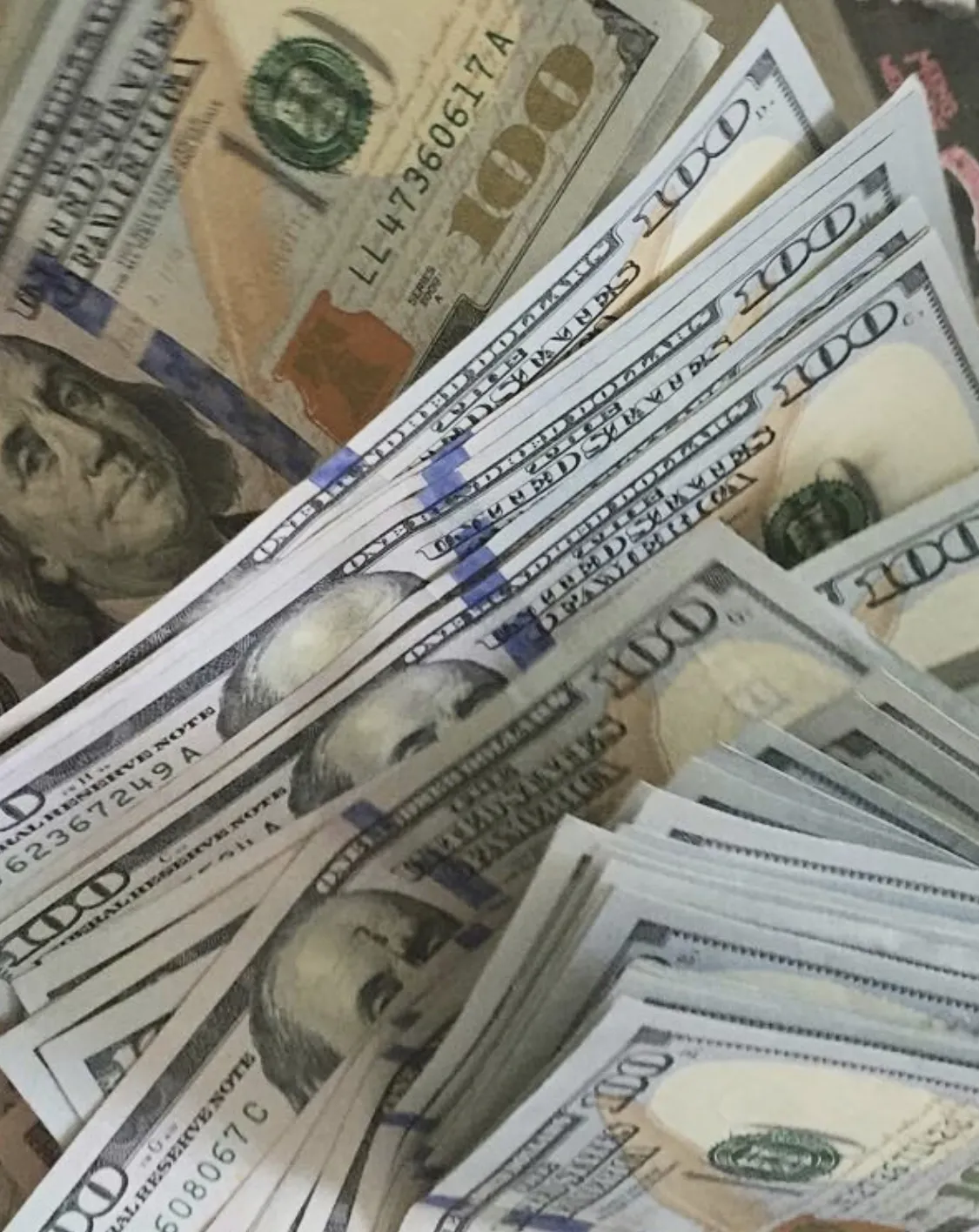 Torrie OnlyFans header