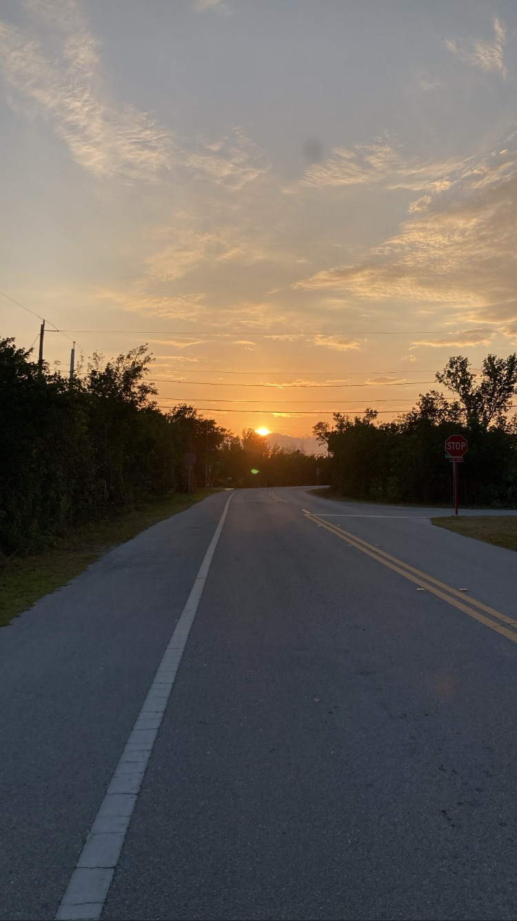 ✨Miss Vito✨  - Sex Addict 🍑🍆💦 OnlyFans header