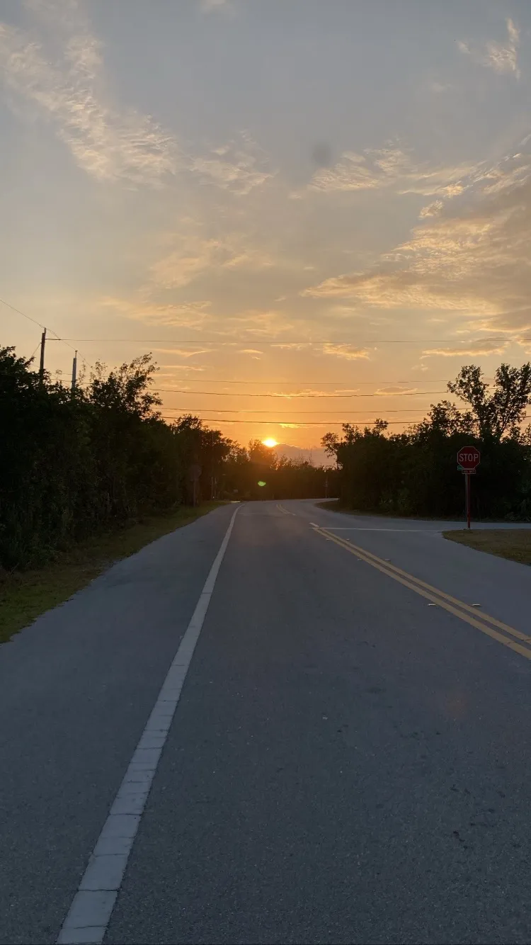 ✨Miss Vito✨  - Sex Addict 🍑🍆💦 OnlyFans header