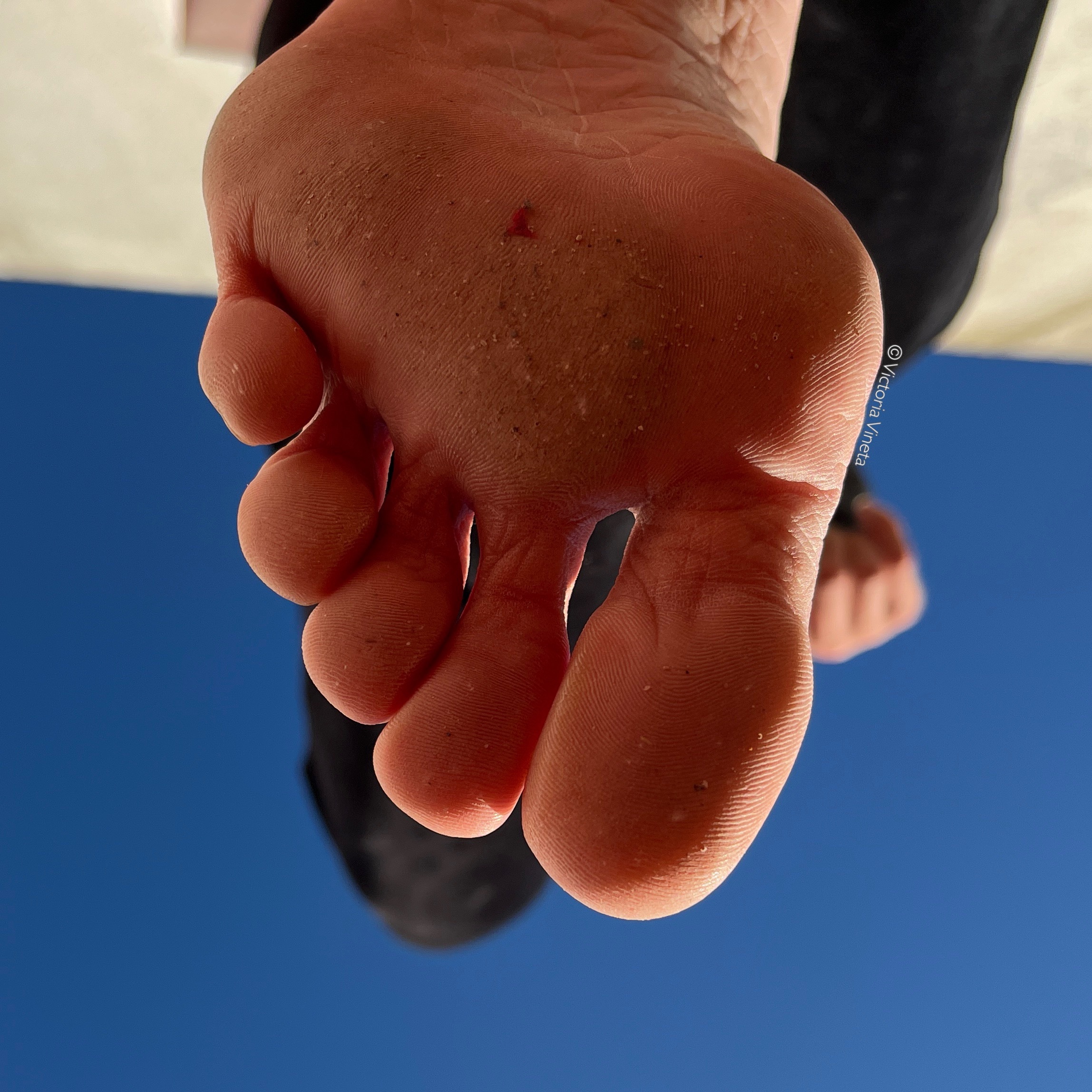 VictoriaVineta OnlyFans header