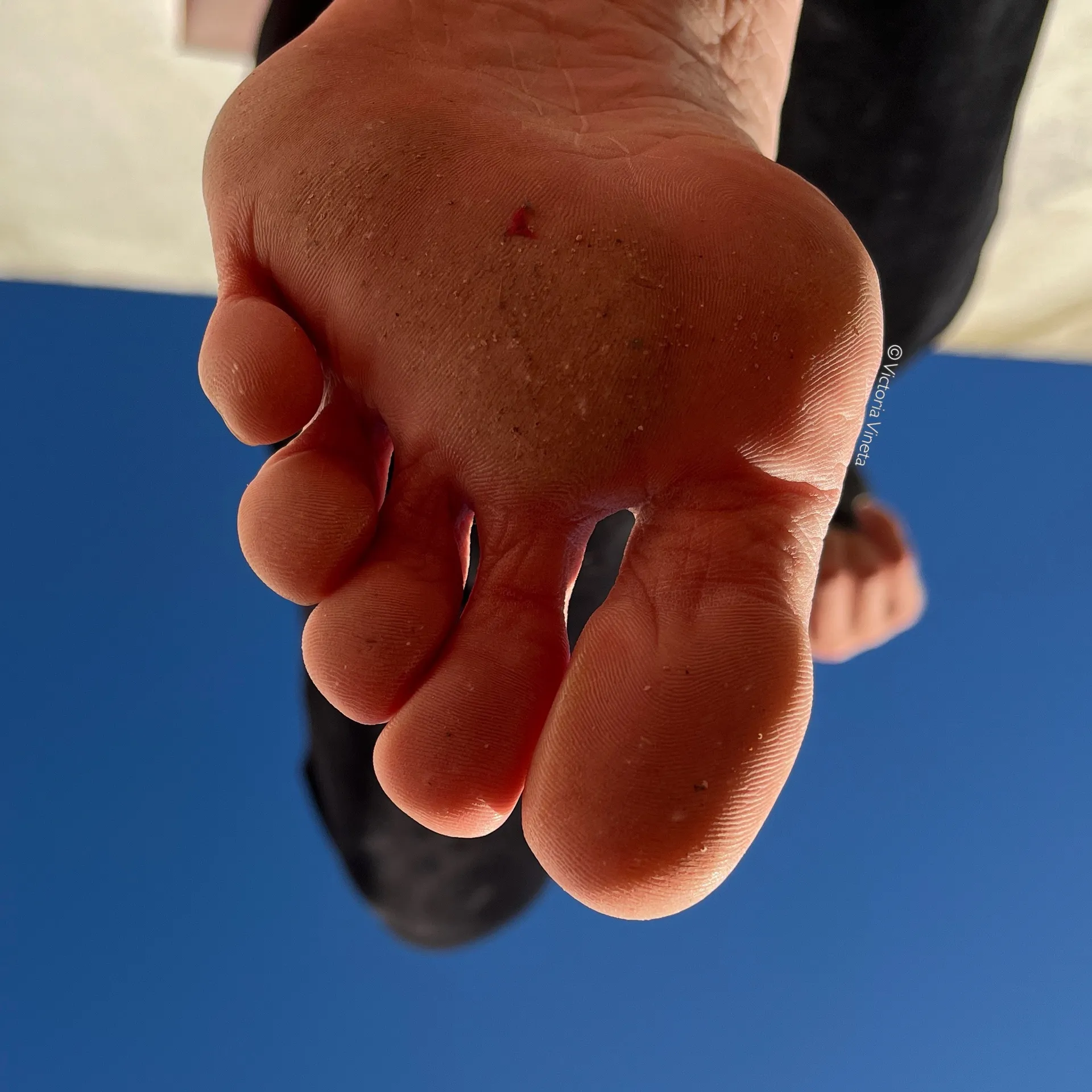 VictoriaVineta OnlyFans header