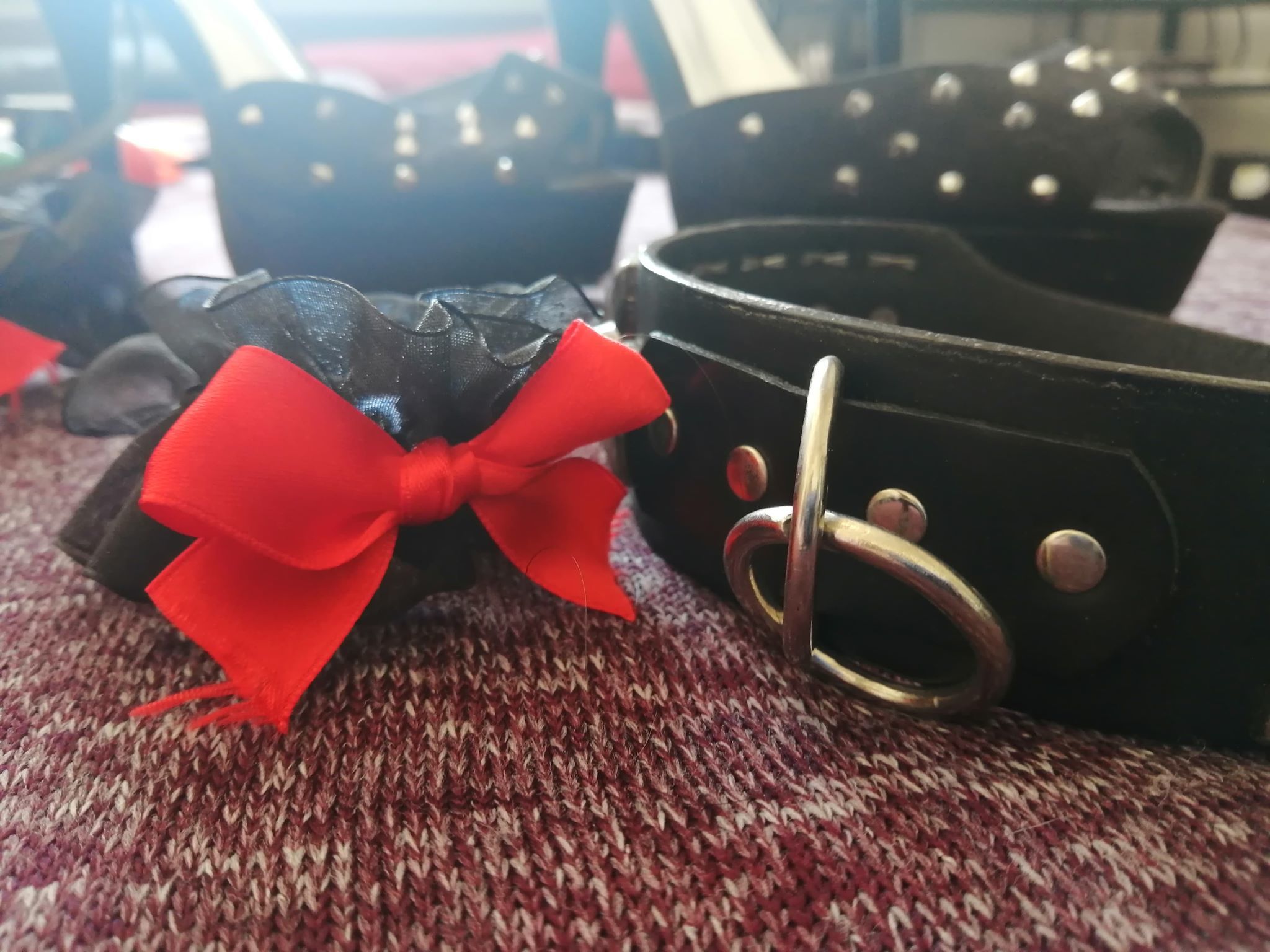 Victoria Vixen OnlyFans header