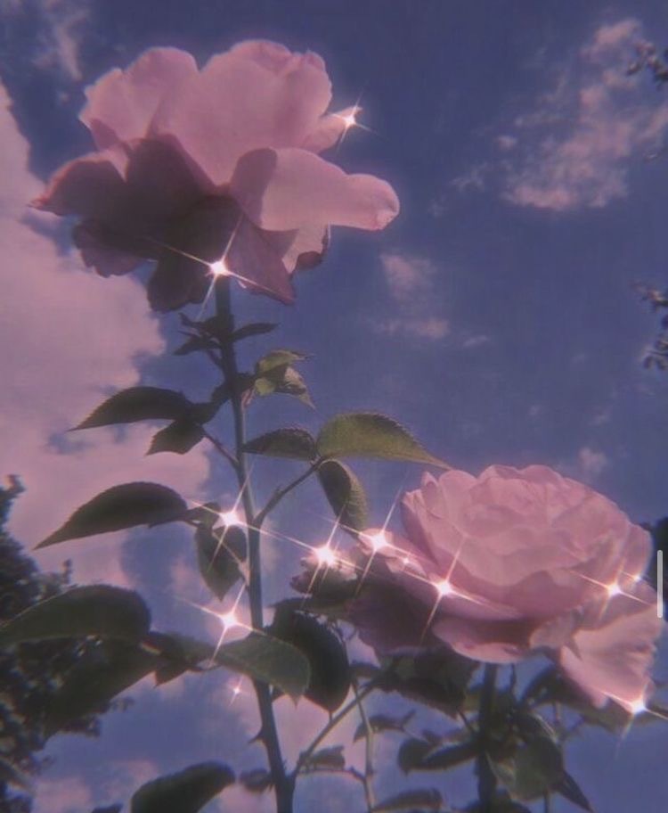 baby1639264 OnlyFans