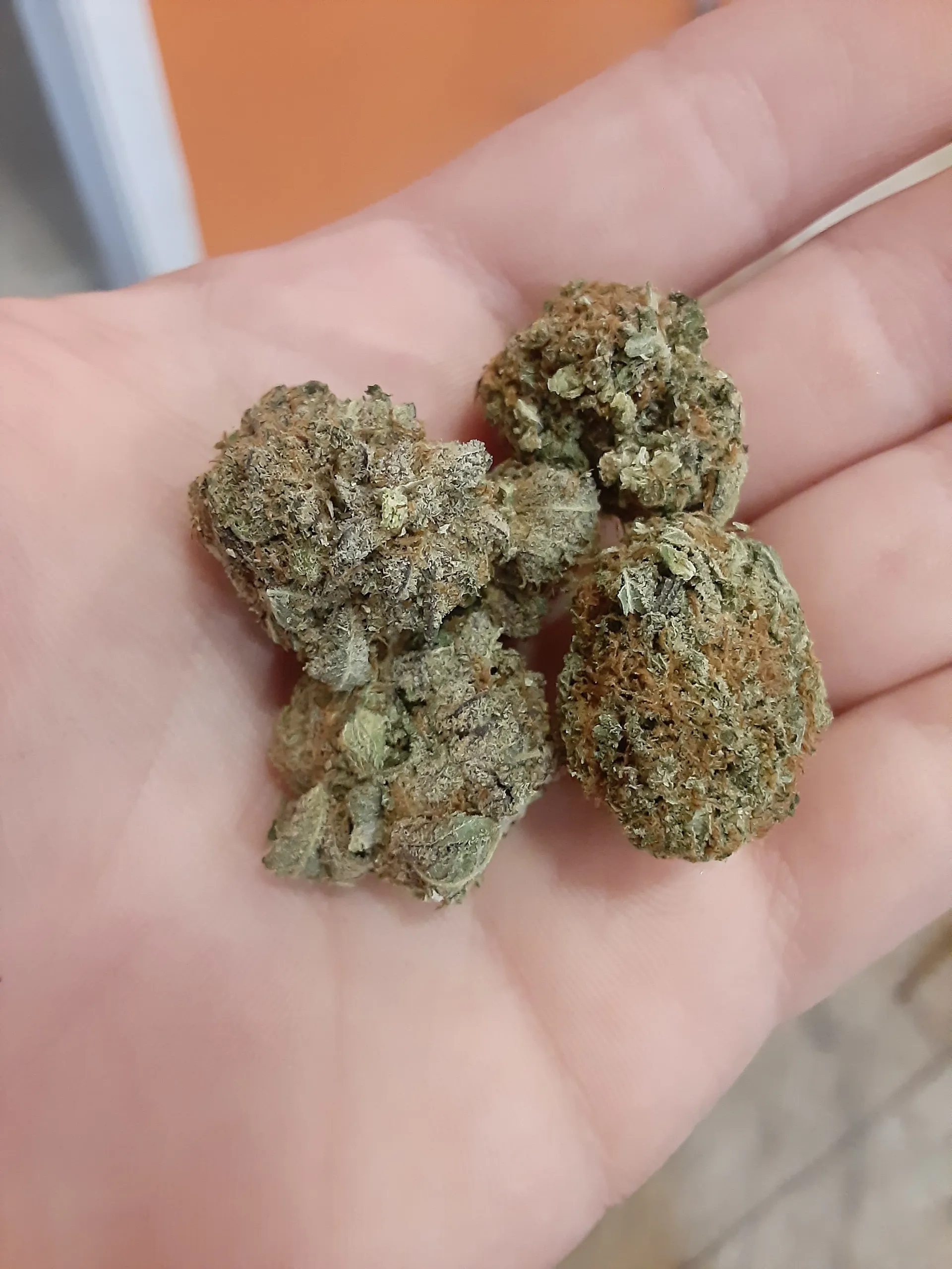 Victoriya Ana OnlyFans header