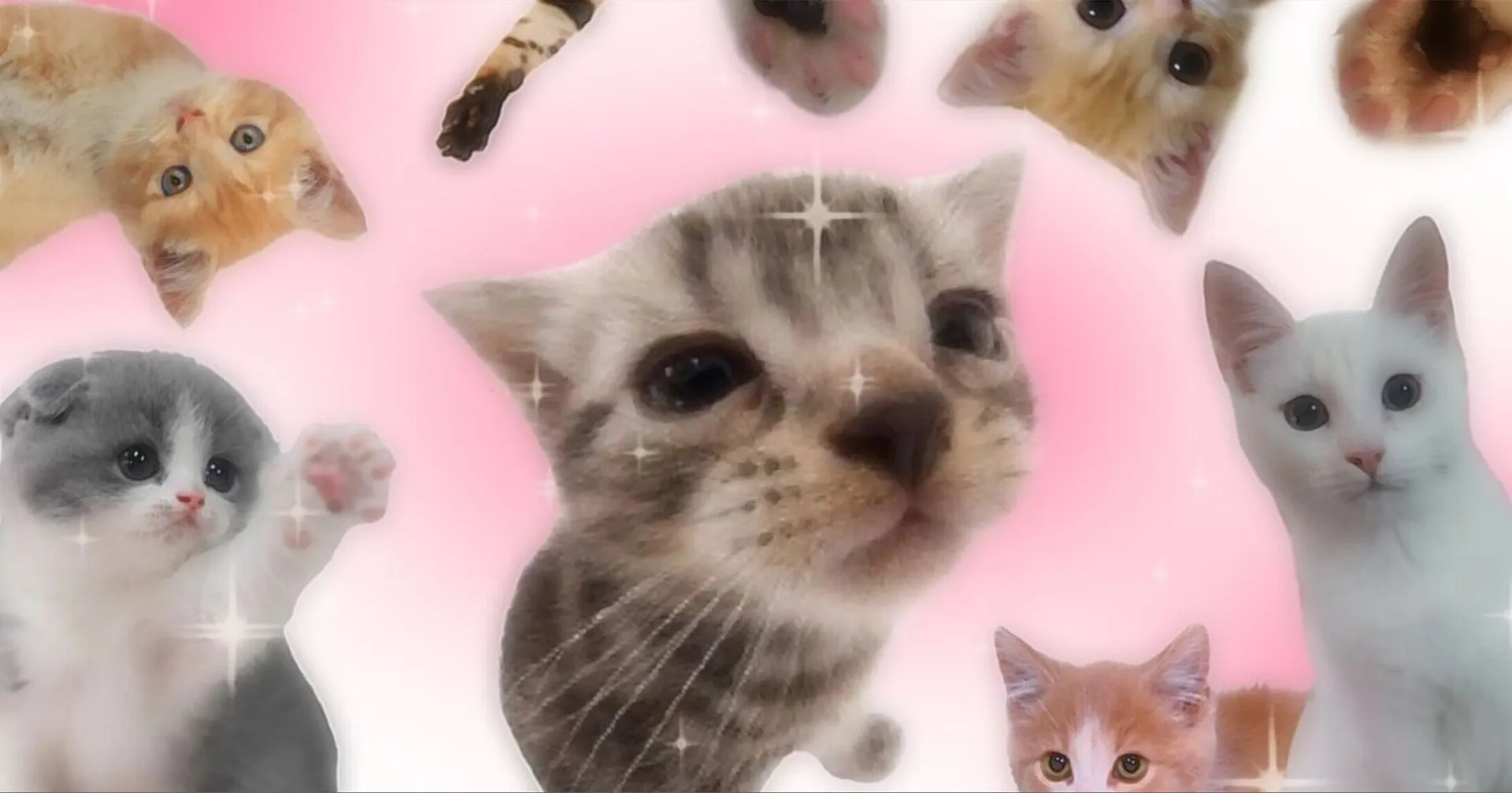 𝗩𝗶𝗰𝗸𝘆 🎀 OnlyFans header