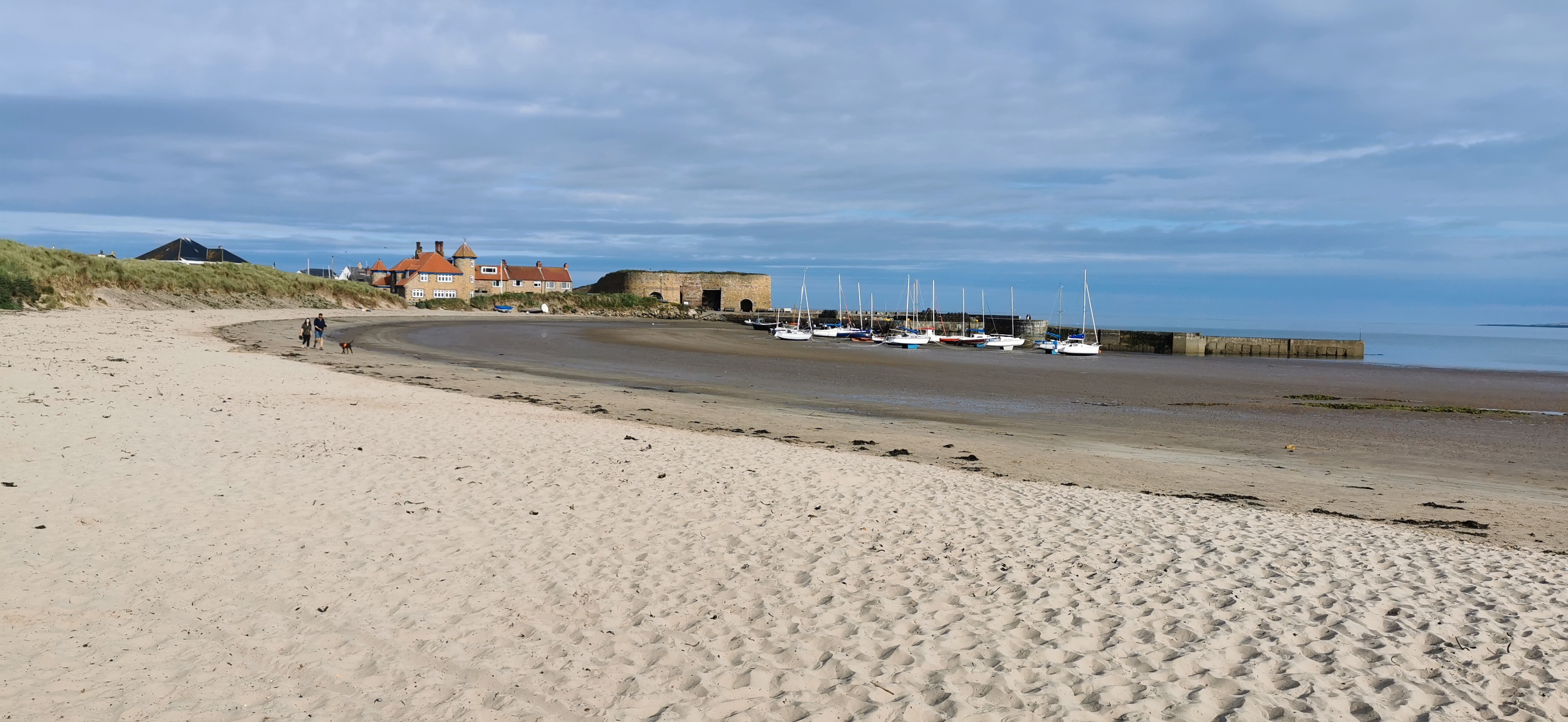 Videl21 OnlyFans header