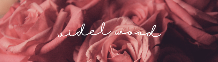 Videl OnlyFans header