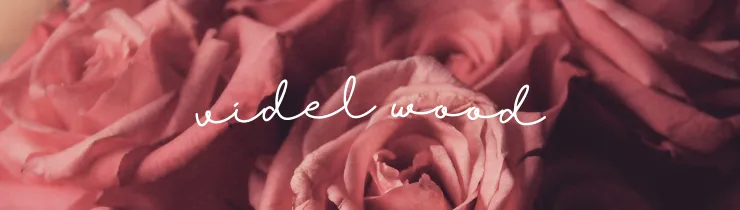 Videl OnlyFans header