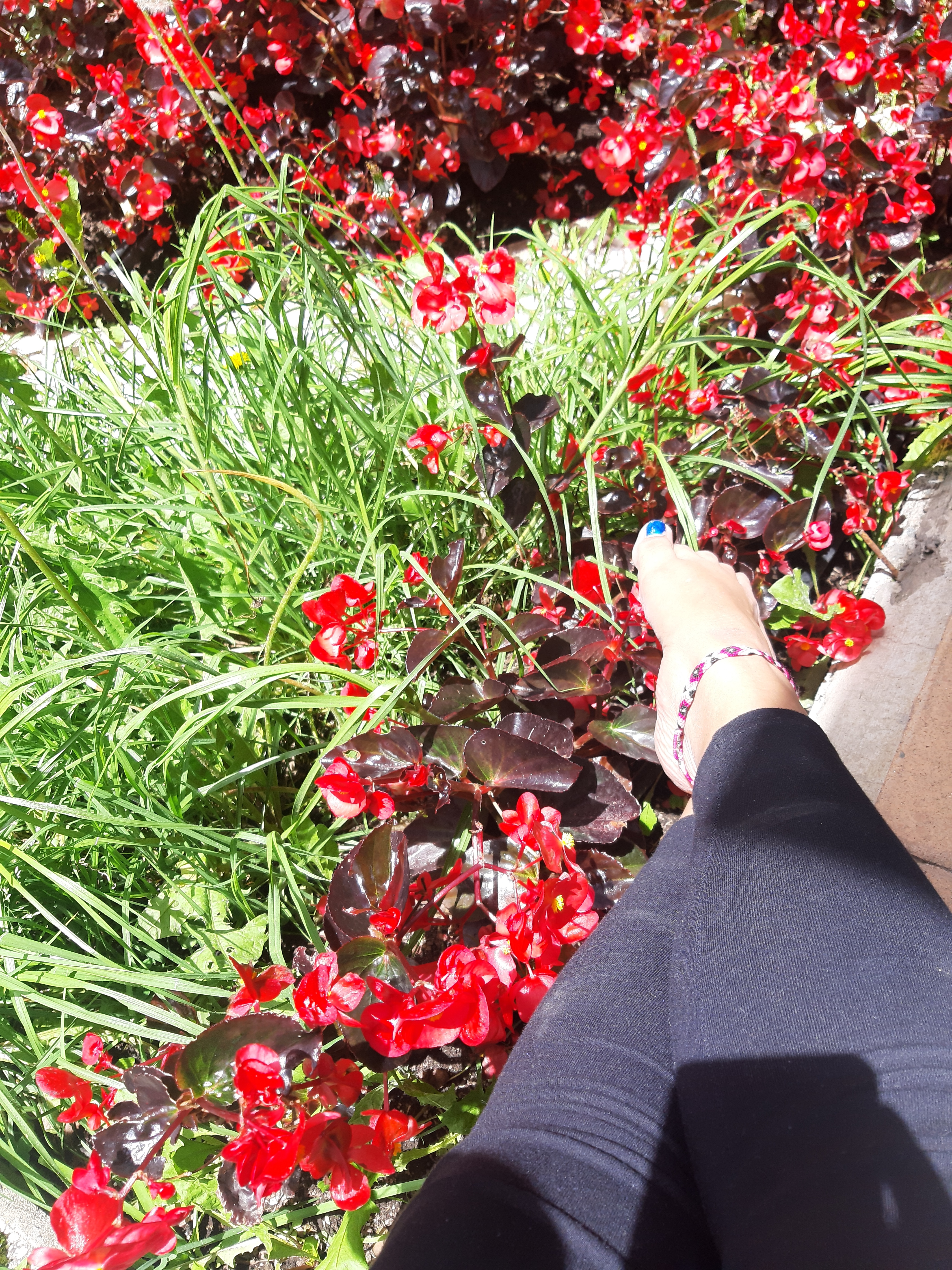 Videl Crespo OnlyFans header