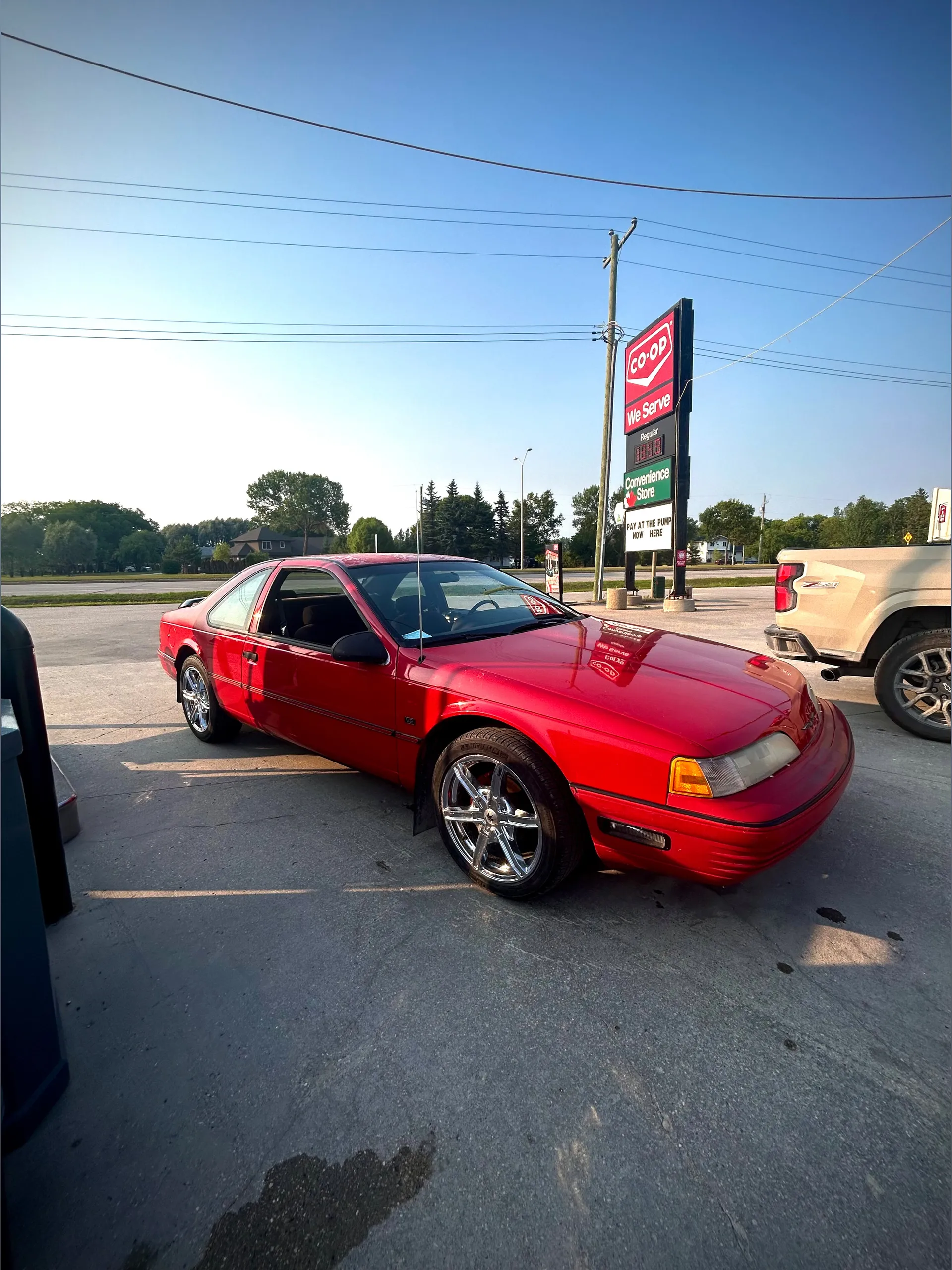 Kitten OnlyFans header