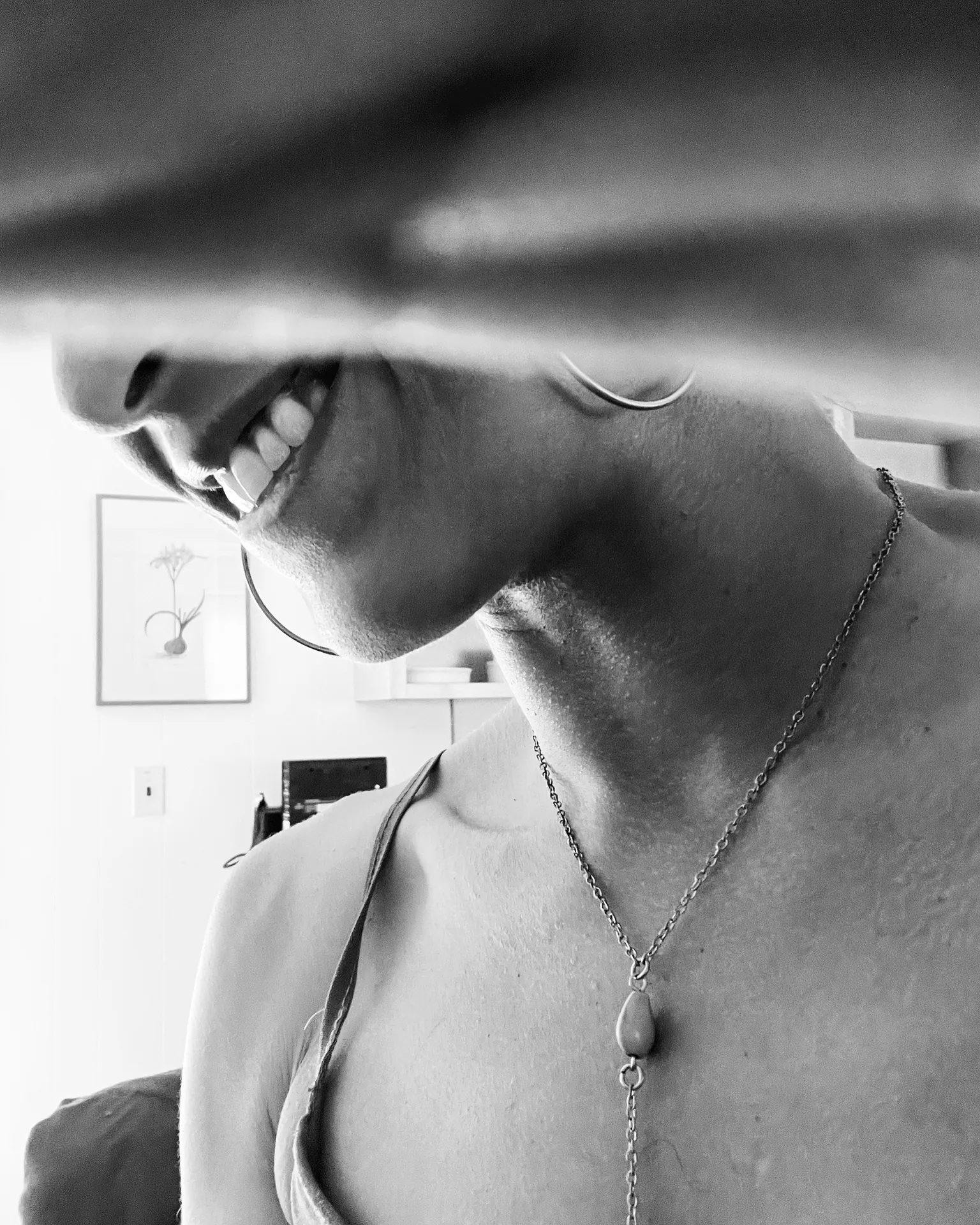 Vienna Contour (she/he/they)