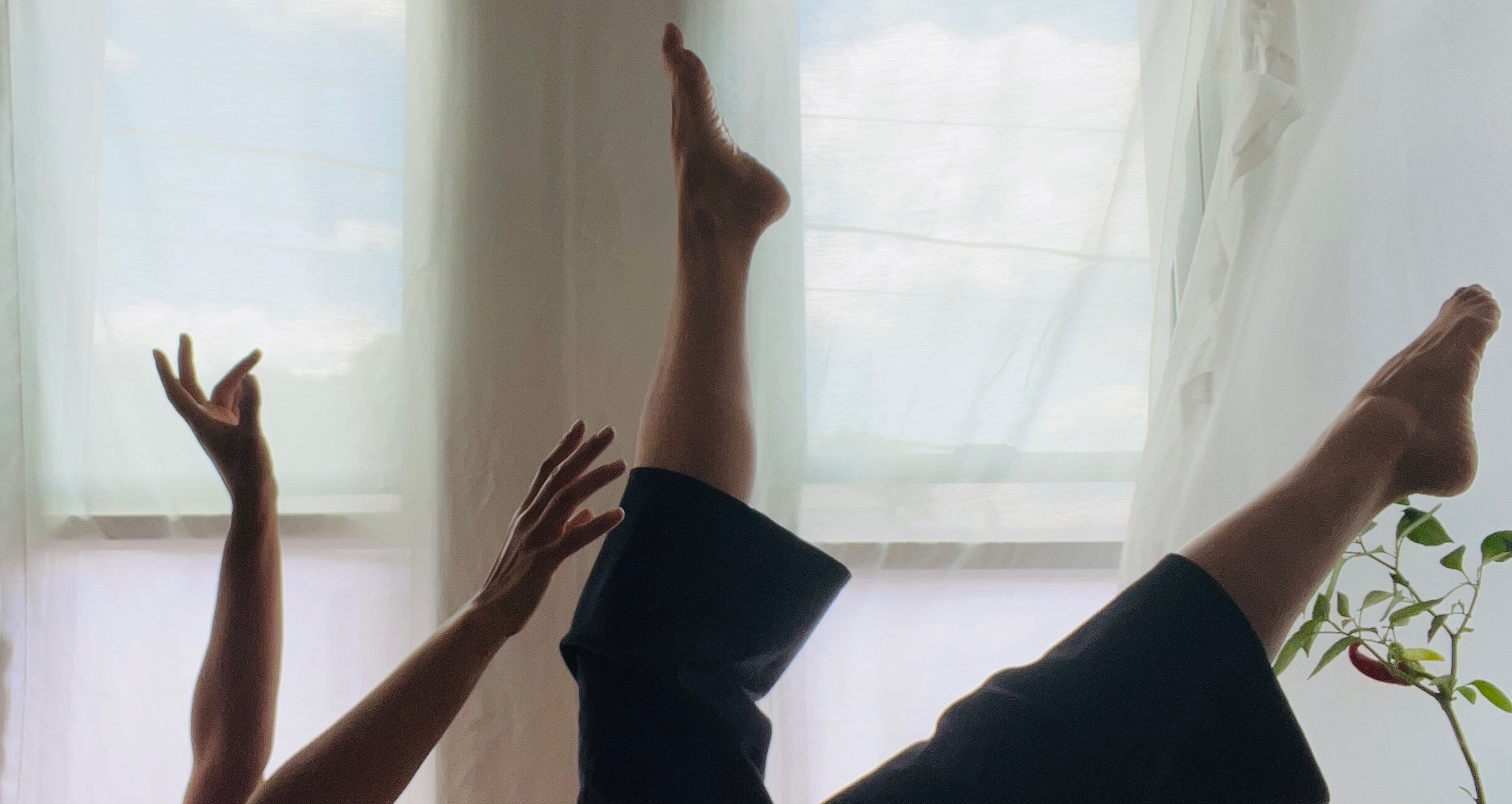 Vienna Contour (she/he/they) OnlyFans header