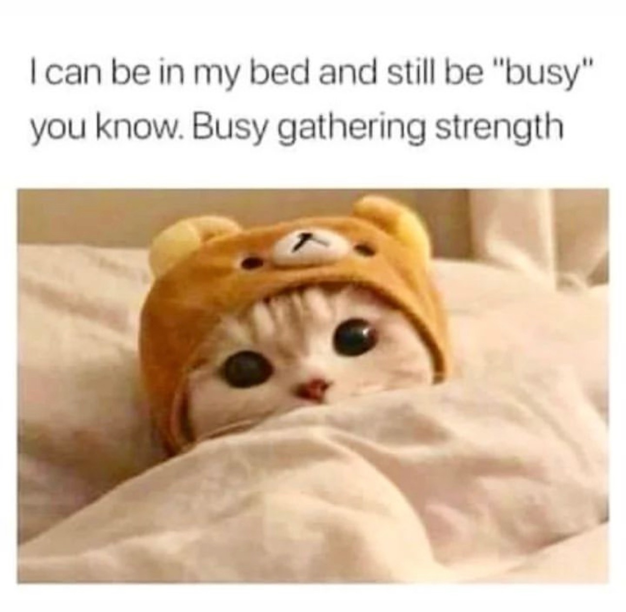 vietasdf OnlyFans header