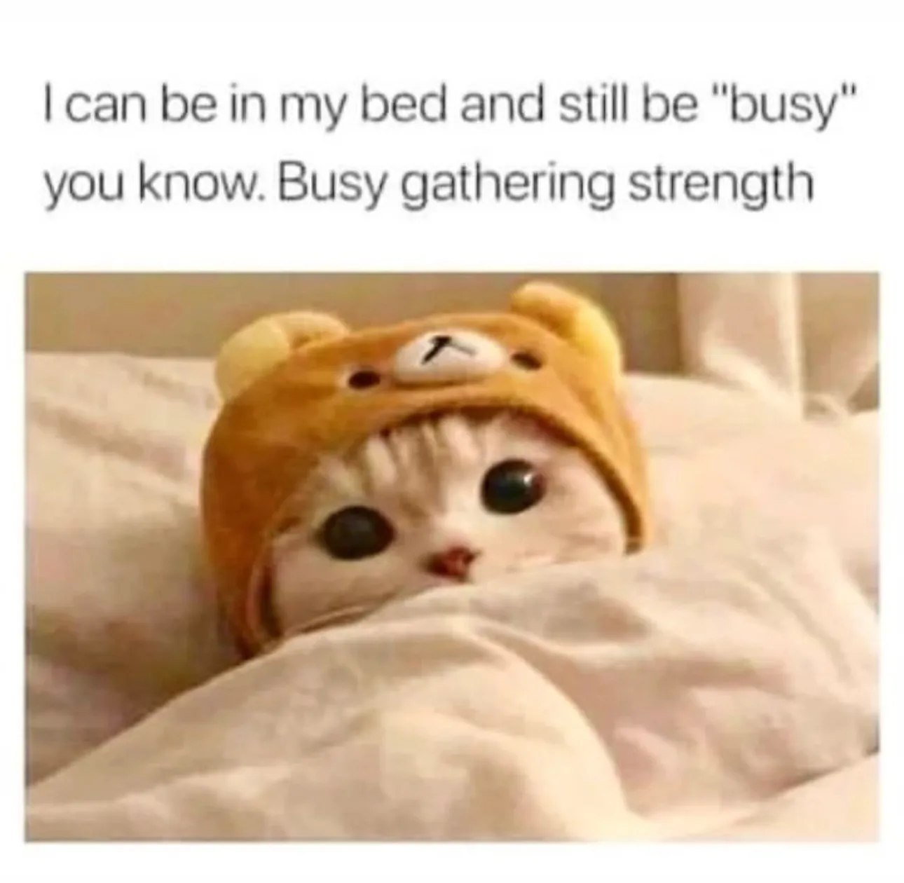 vietasdf OnlyFans header