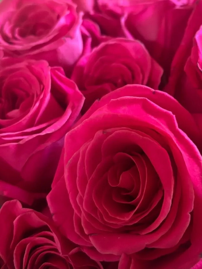 Vihana Bloom OnlyFans header