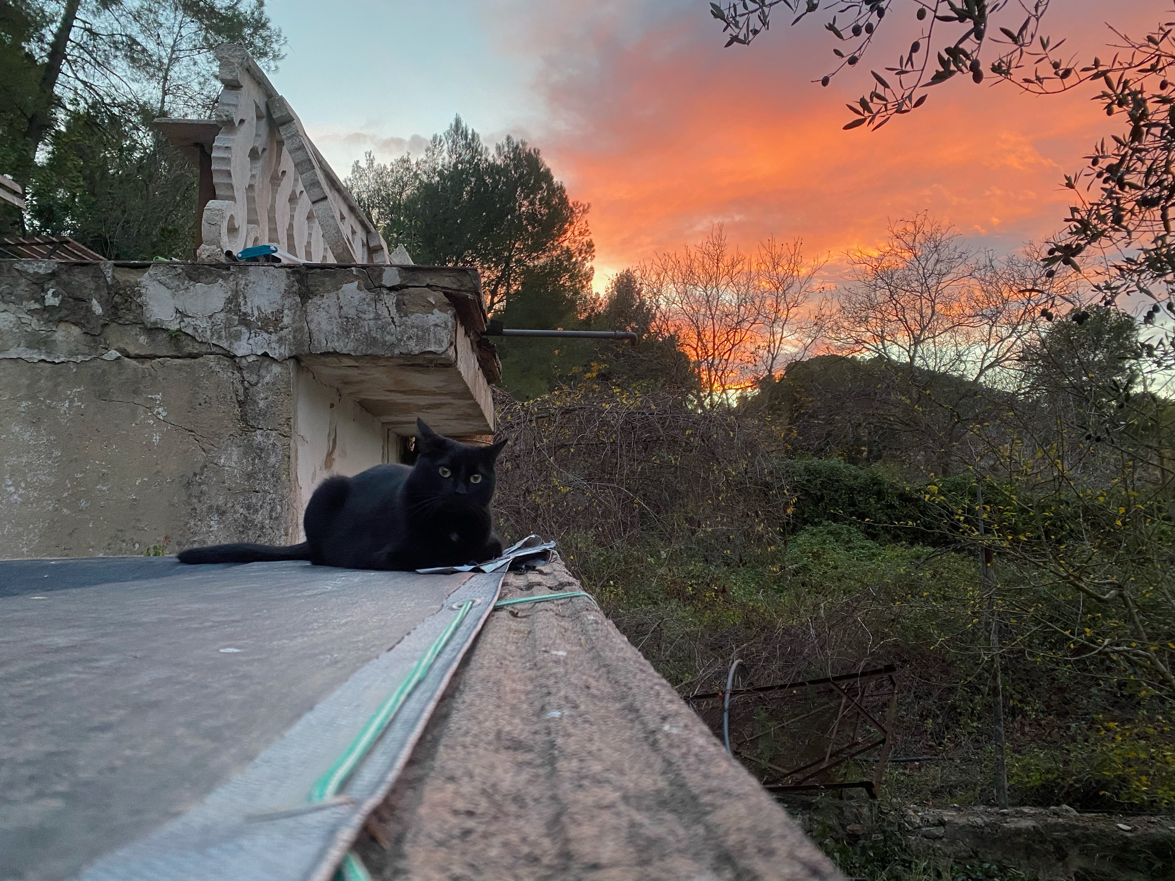 Chris B. OnlyFans header