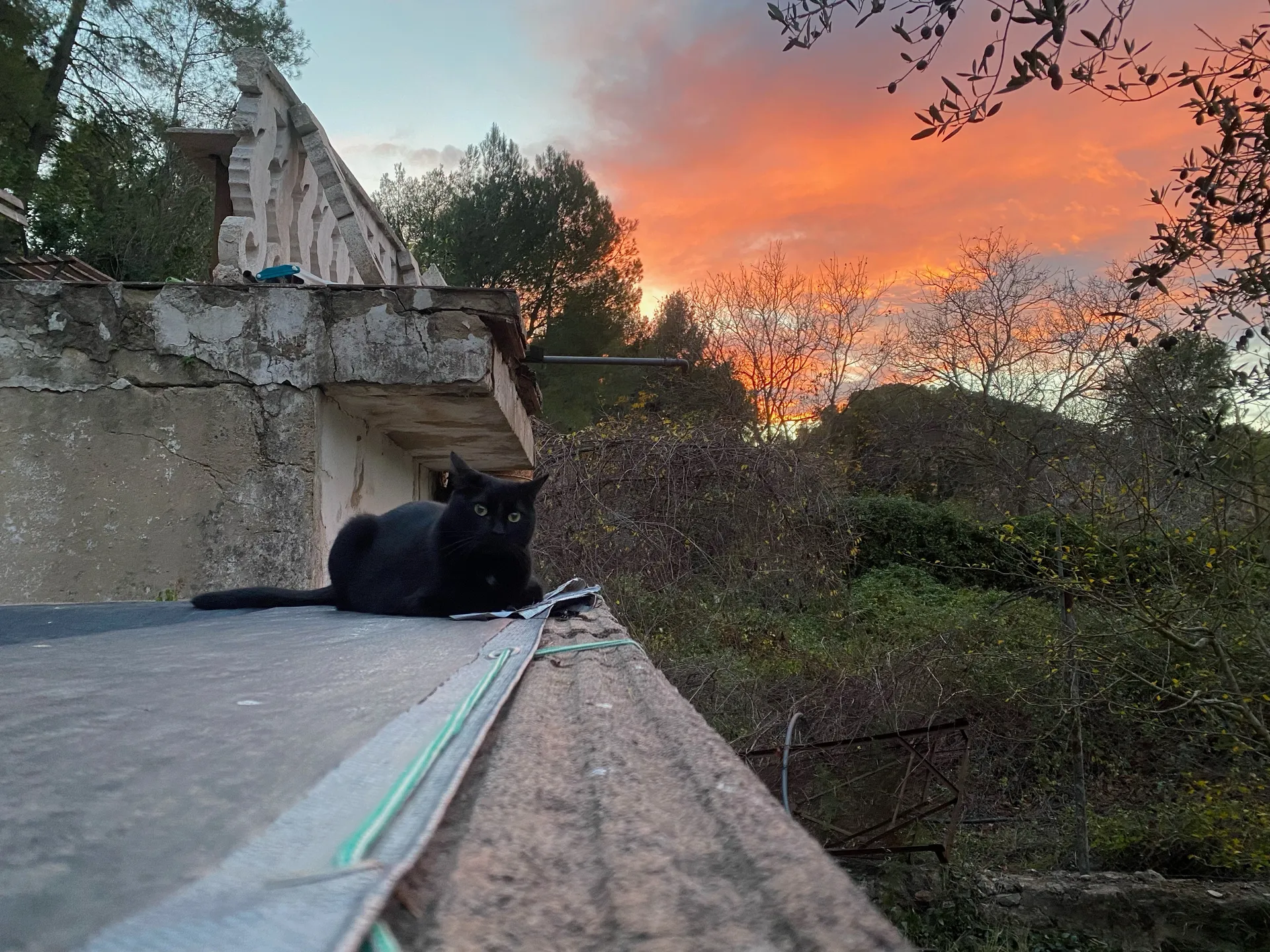 Chris B. OnlyFans header