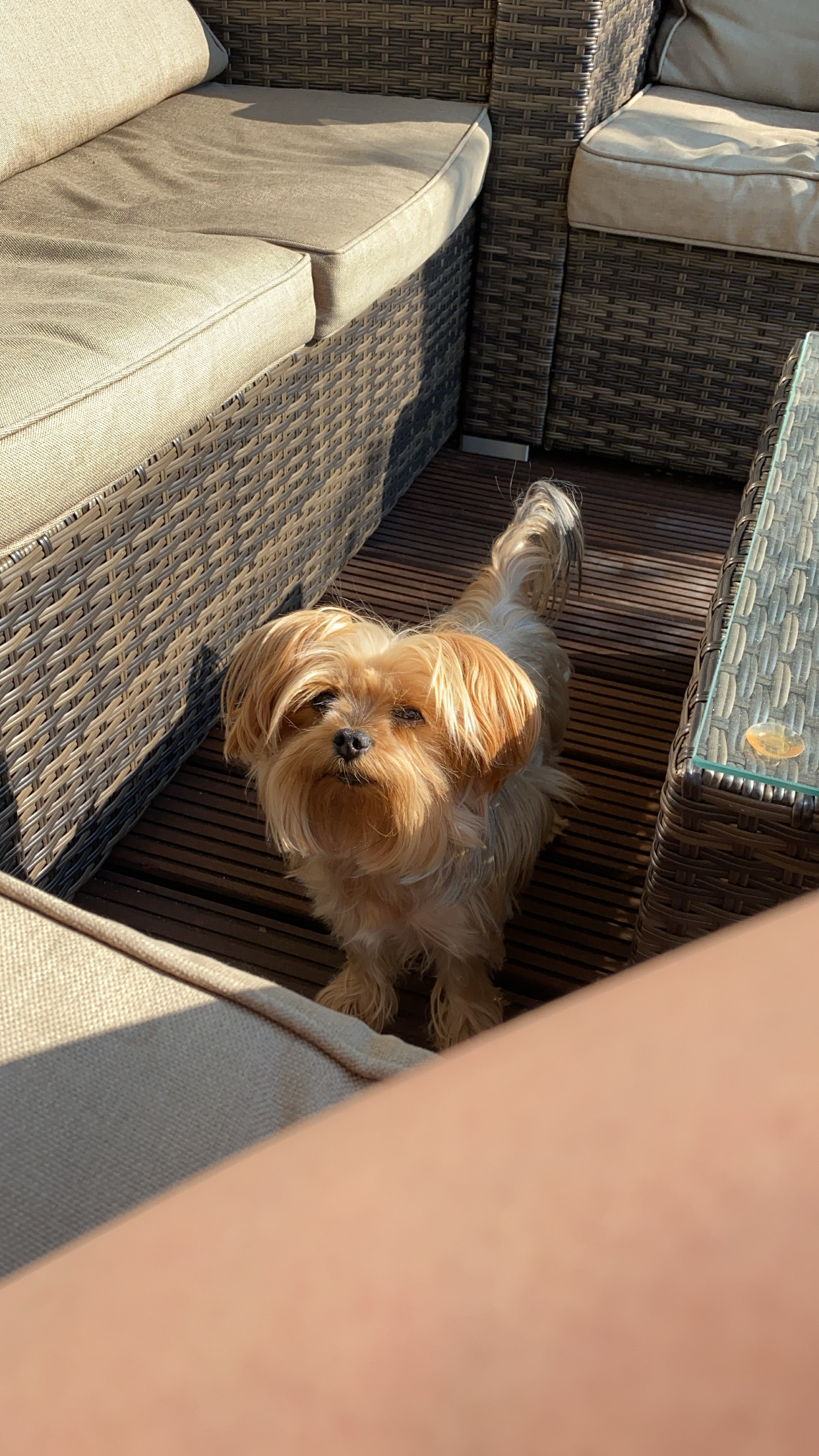 Viki1424 OnlyFans header