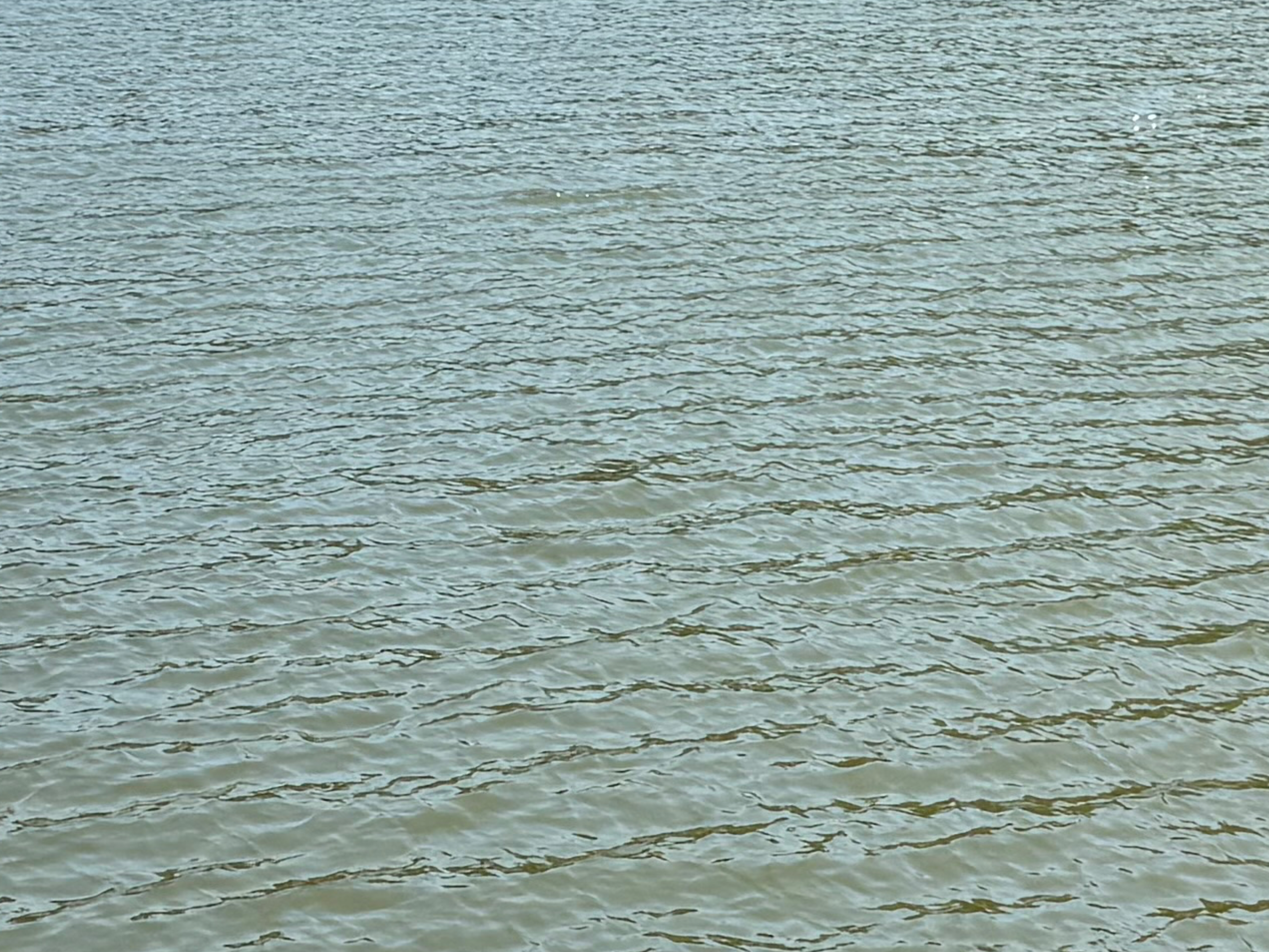 Viking Chic OnlyFans header