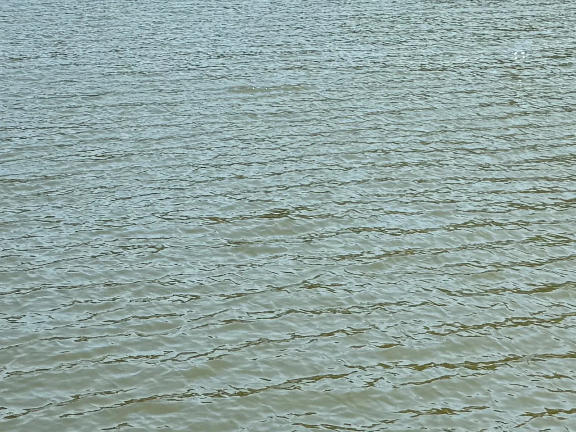 Viking Chic OnlyFans header