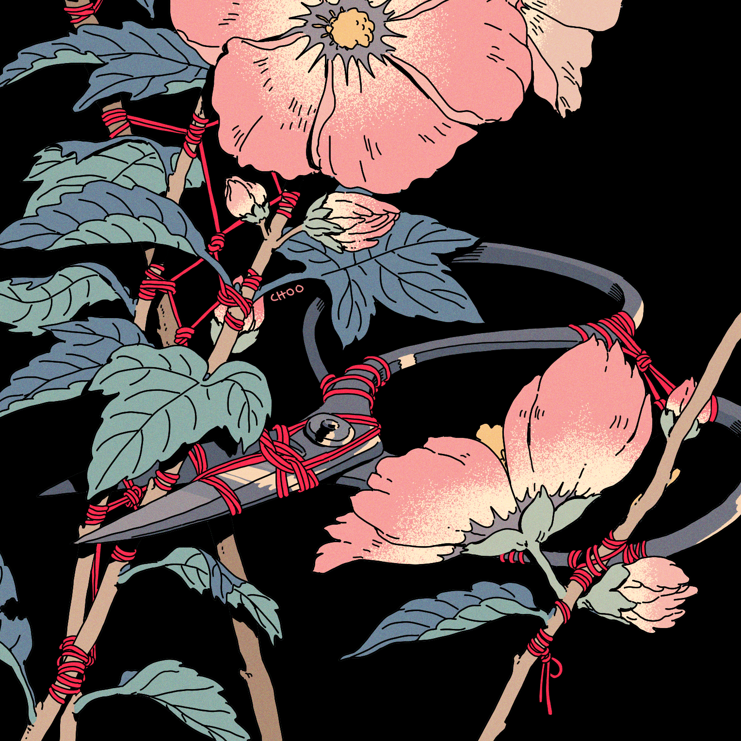 Cambria OnlyFans header