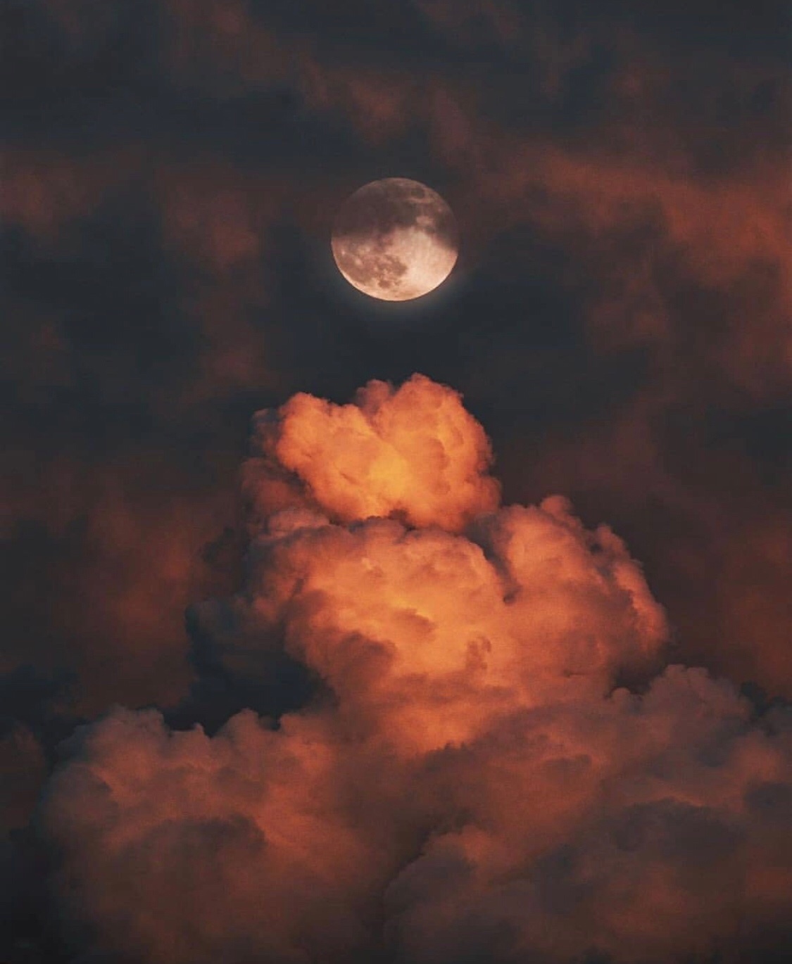 Vincenzo OnlyFans header