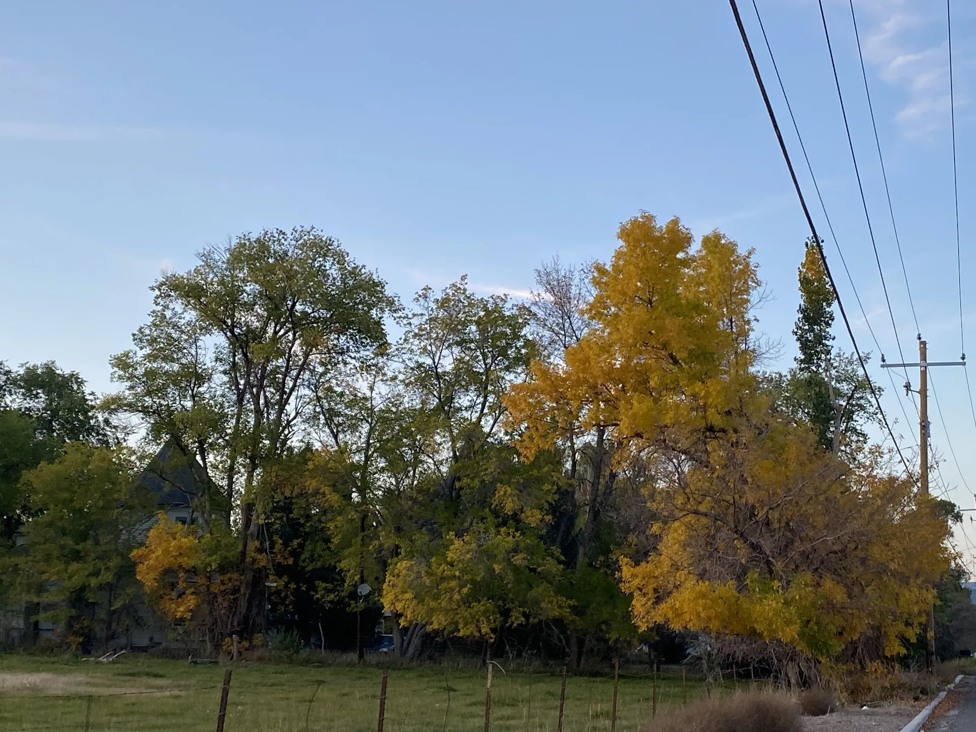 Vincent OnlyFans header