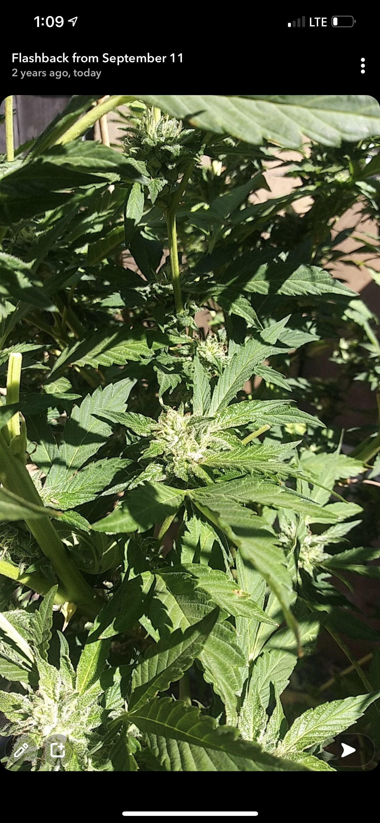 ILL DeeziLL OnlyFans header